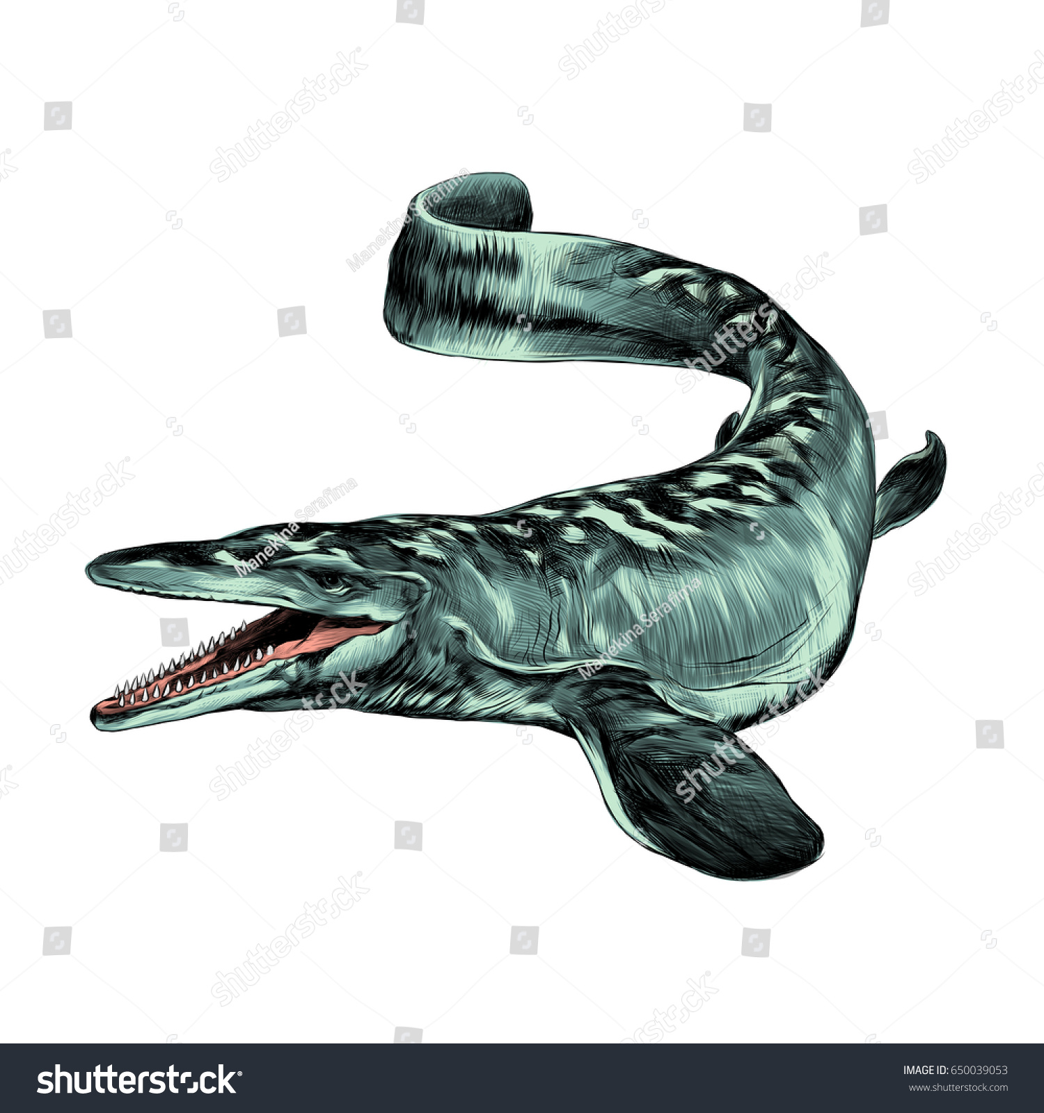 Aquatic Dinosaur Flippers Sketch Graphics Color Stock Illustration ...