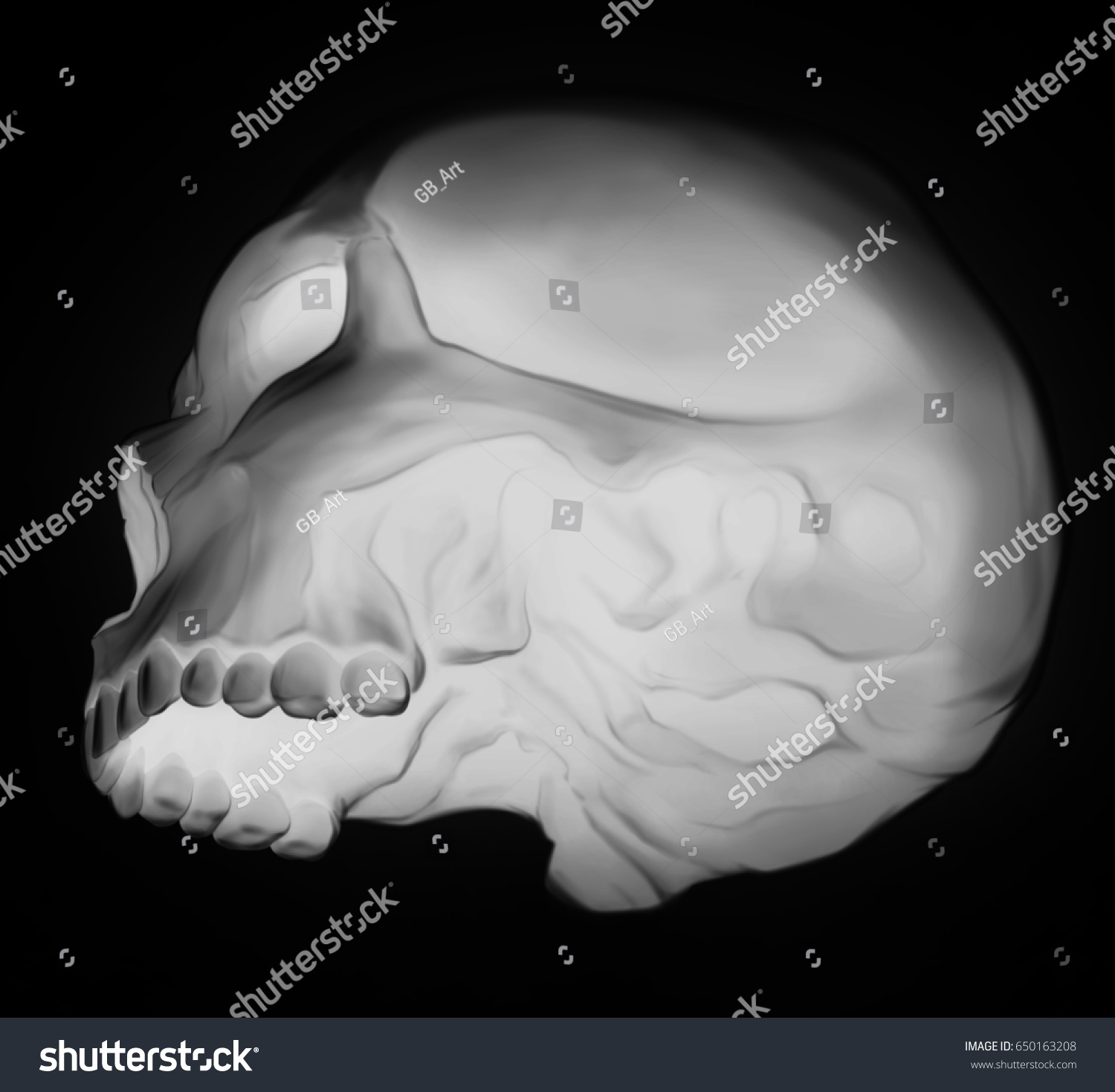 Graphic Detailed White Human Skull On Stock Illustration 650163208 