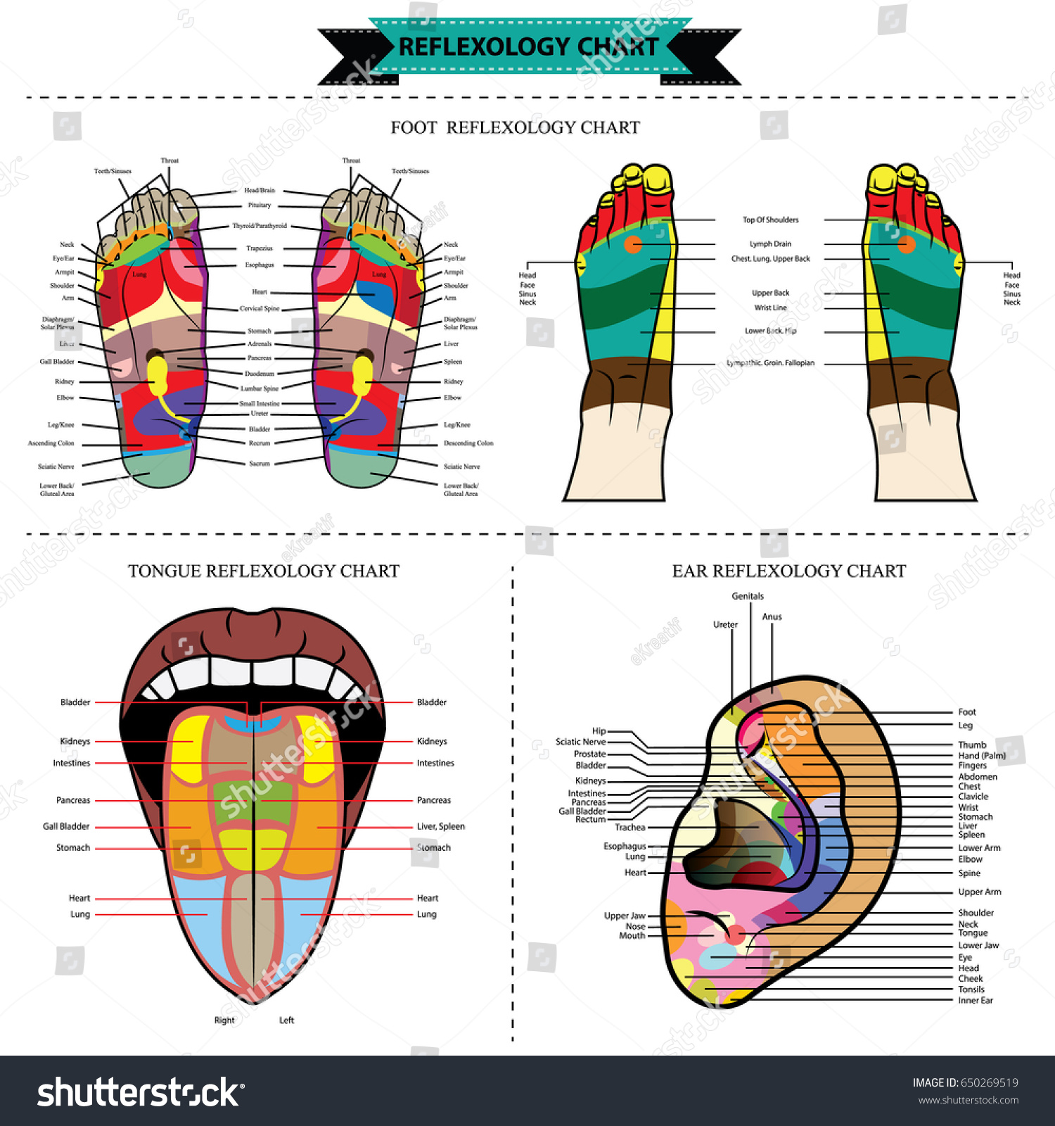 Foot tongue