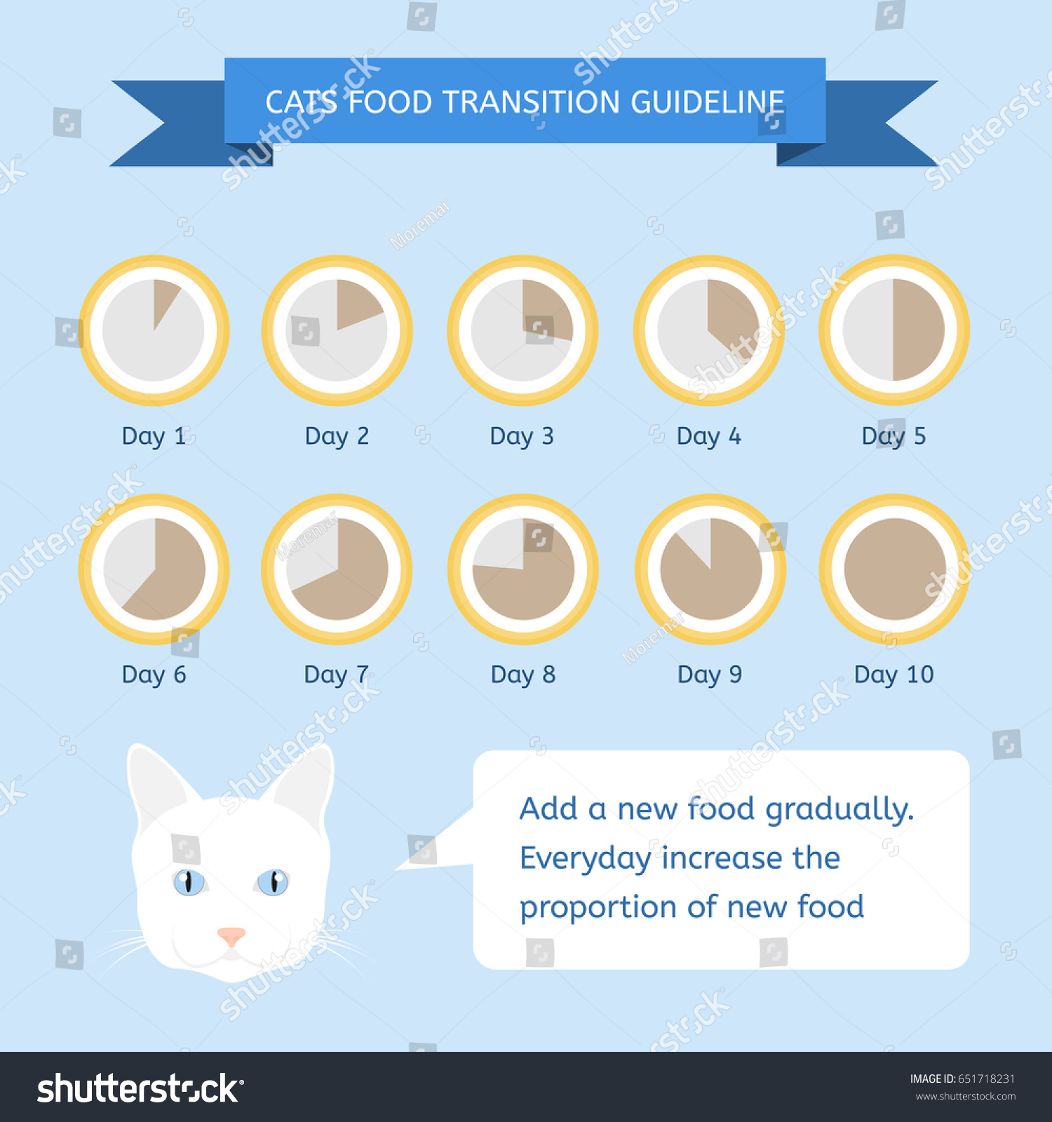 Cats Food Transition Guideline Infographics About Stock Vector (Royalty