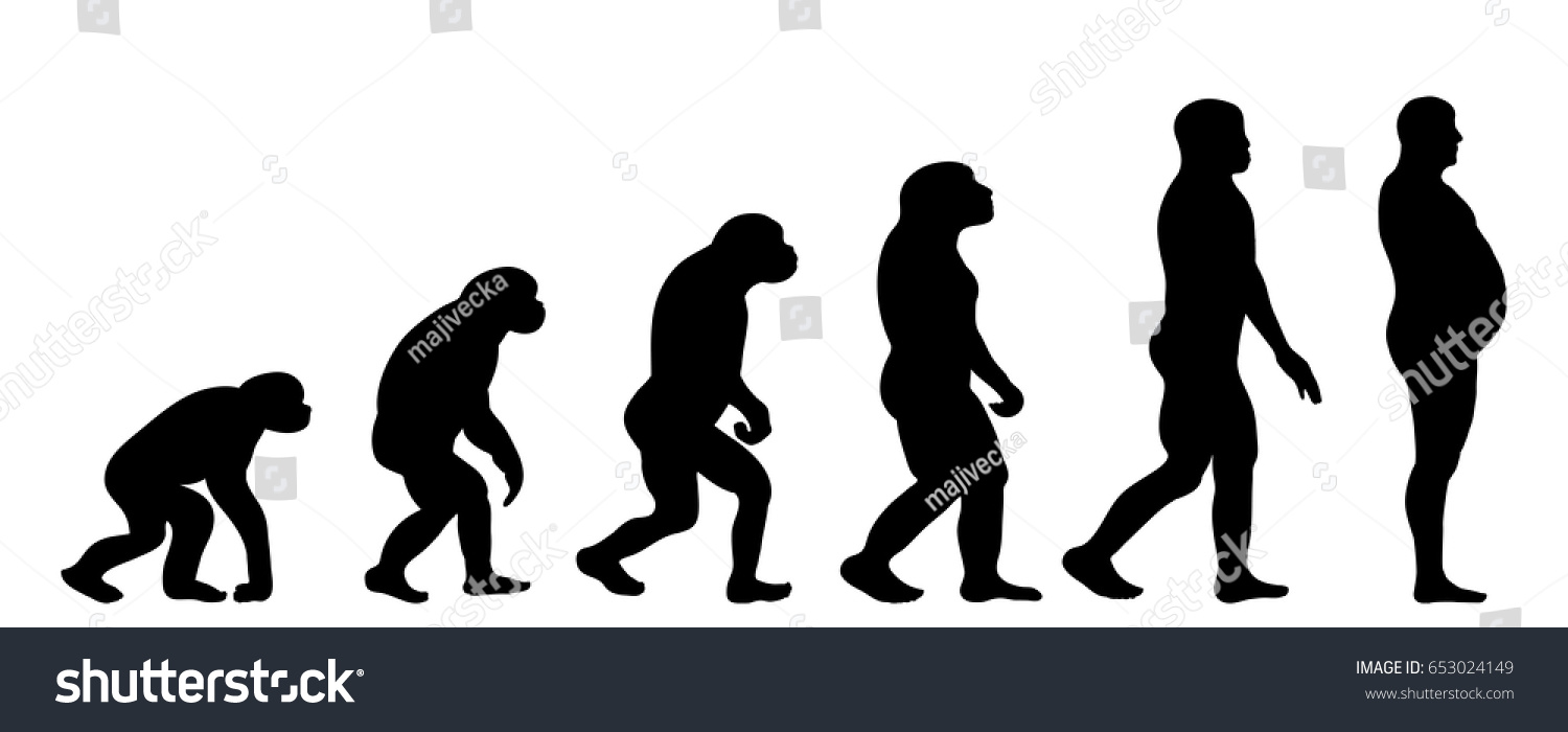 Vector Silhouette Evolution Man On White Stock Vector Royalty Free