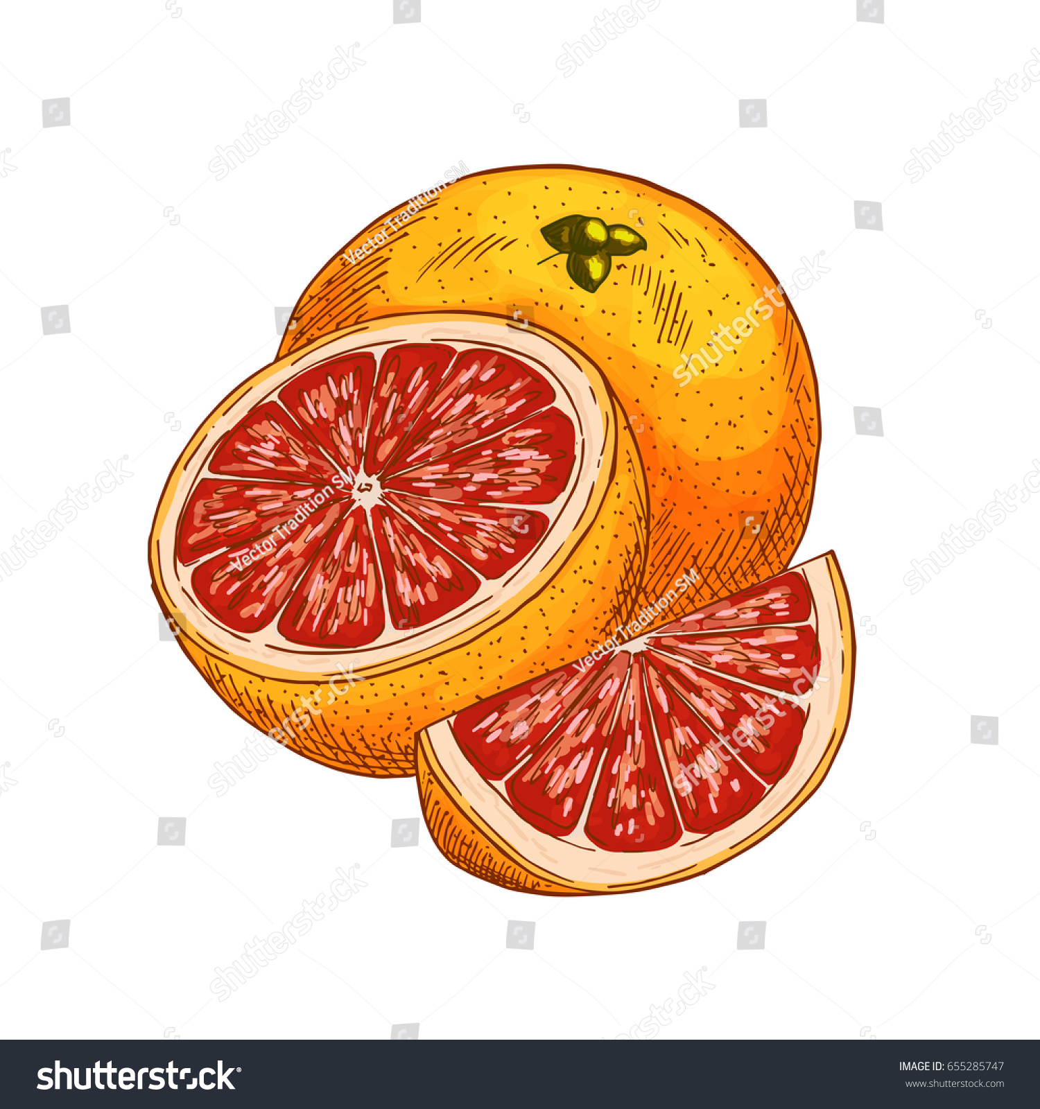Скетчинг апельсин