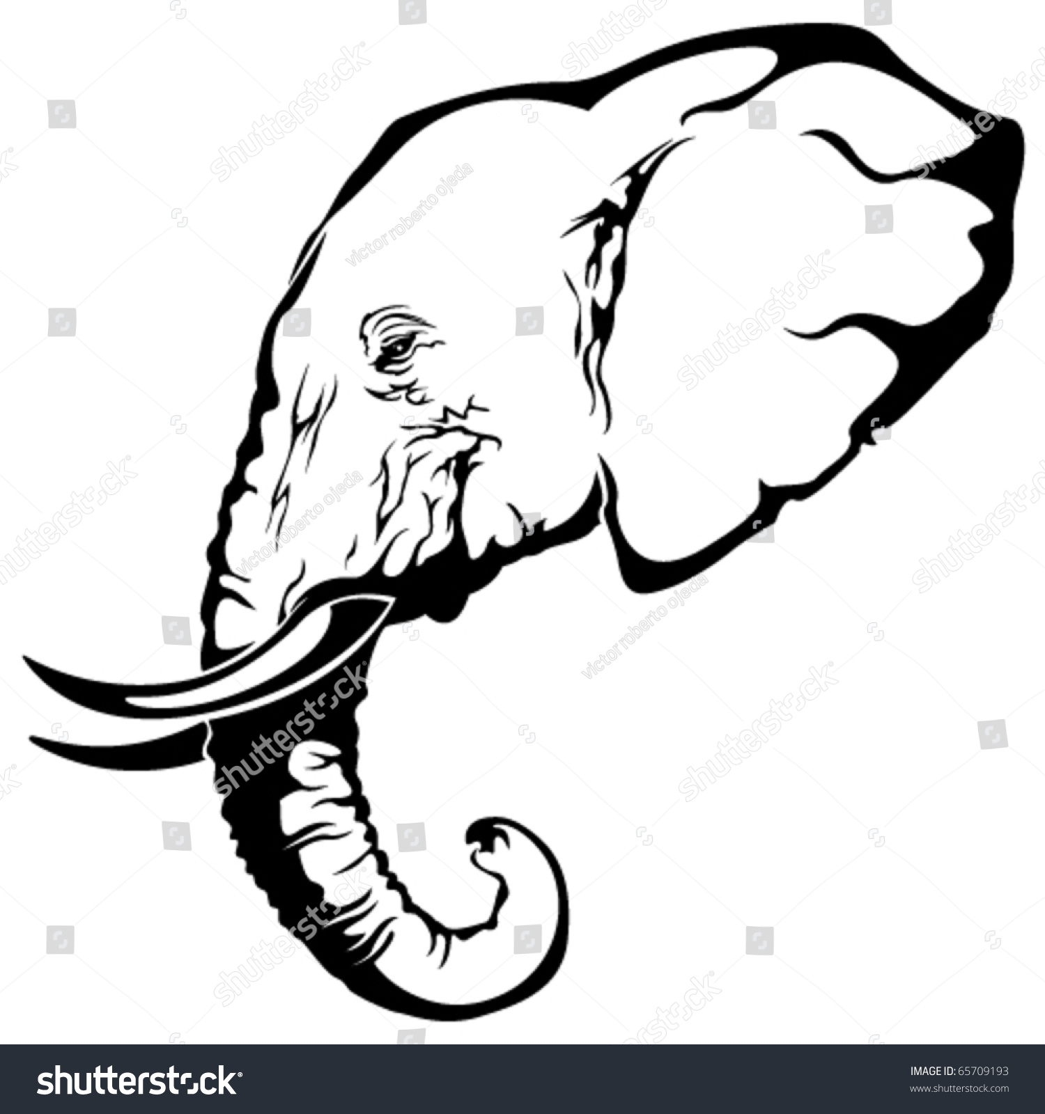Слон голова очертание