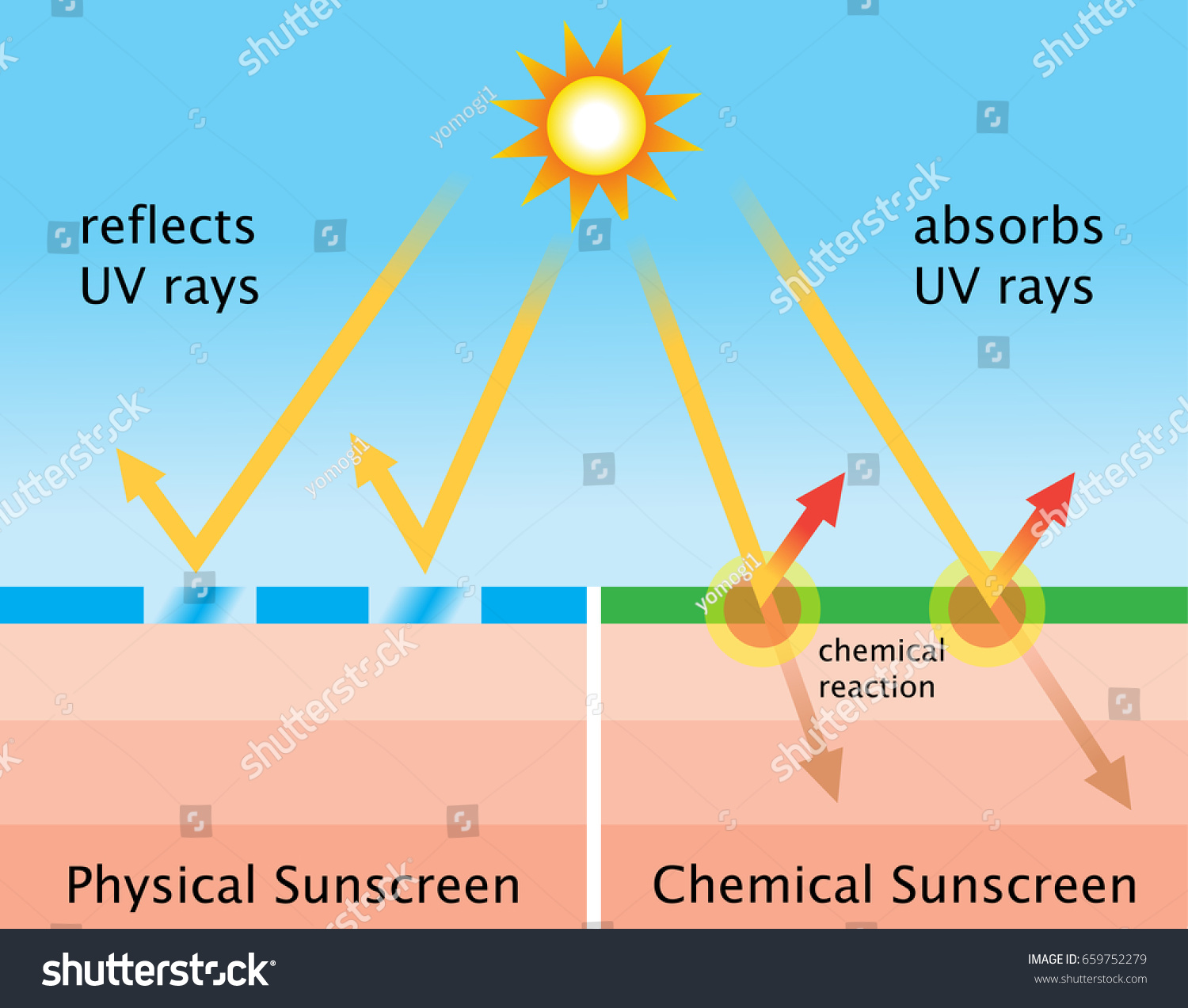 Physical Sunscreens Reflect Rays Chemical Sunscreens Stock Vector