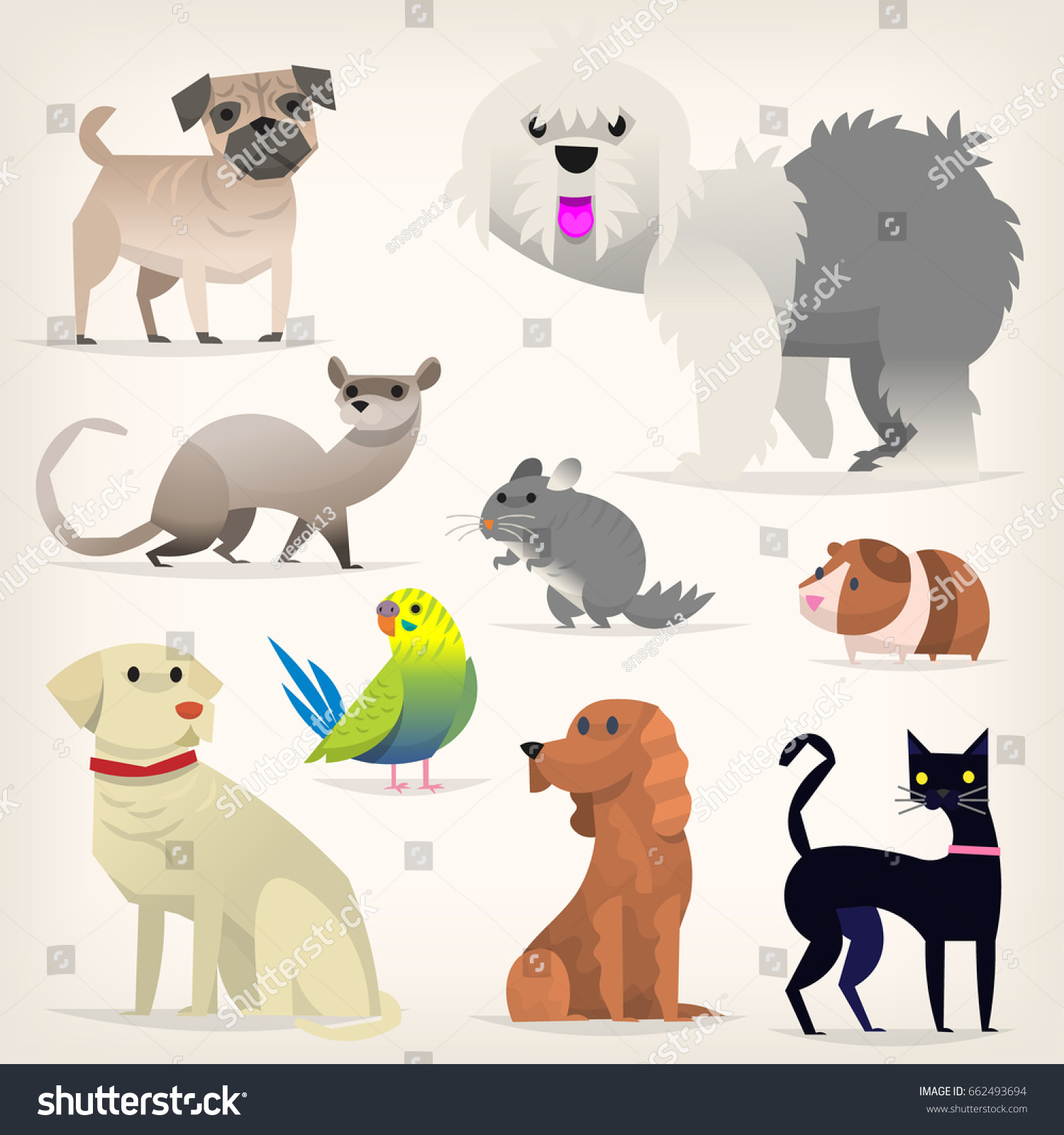 Set Colorful Pets Different Species Kinds Stock Vector (Royalty Free ...