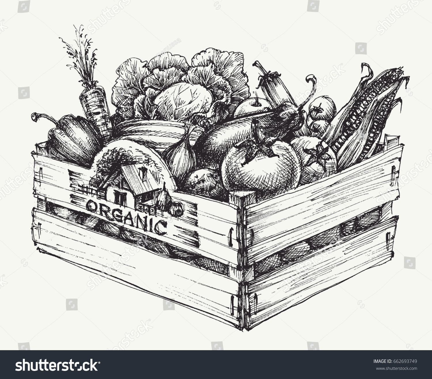 Ящик с овощами иллюстрация