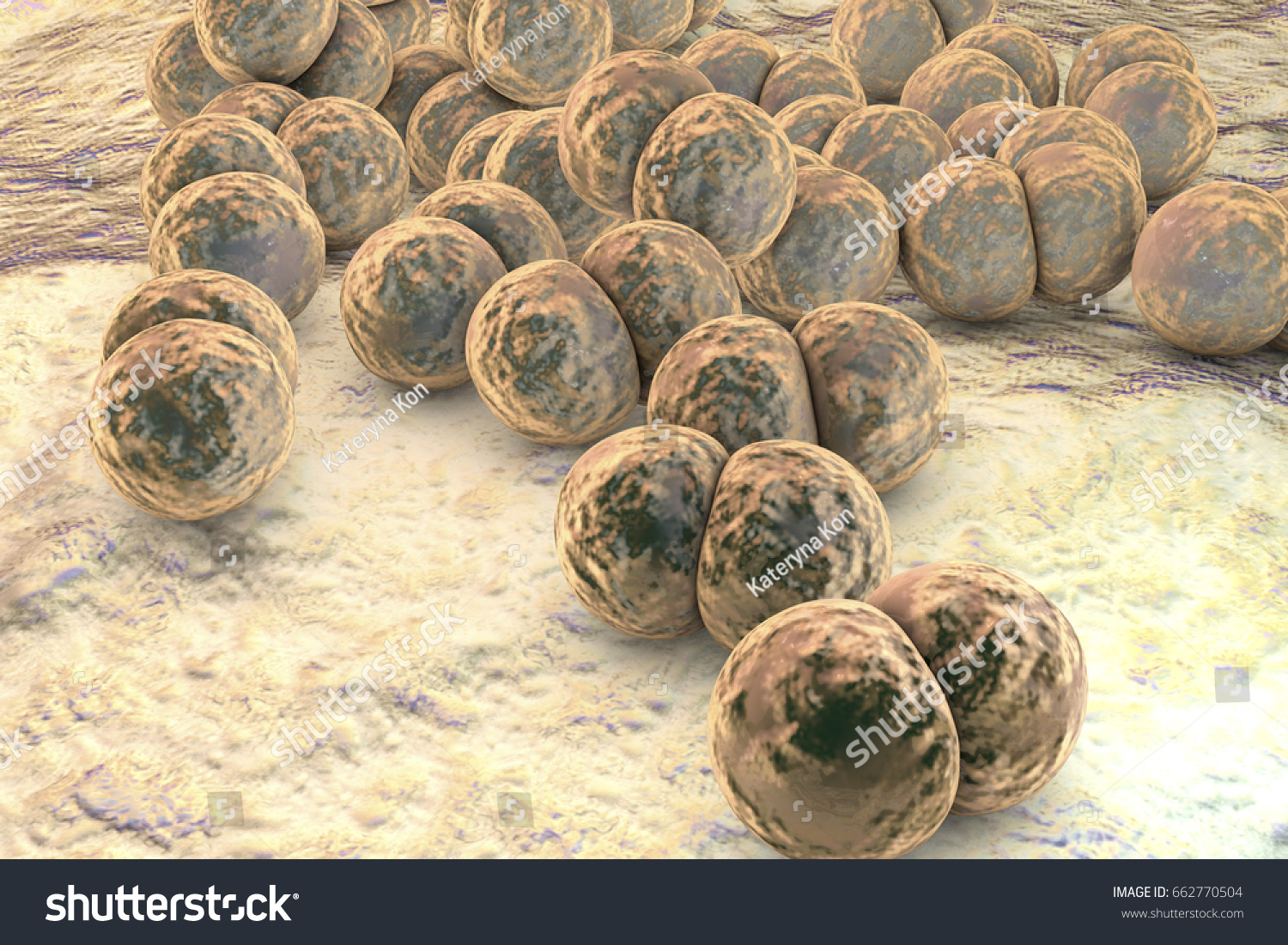 Bacteria Neisseria Gonorrhoeae Gonoccoccus Diplococci Which 库存插图 662770504 Shutterstock 0009