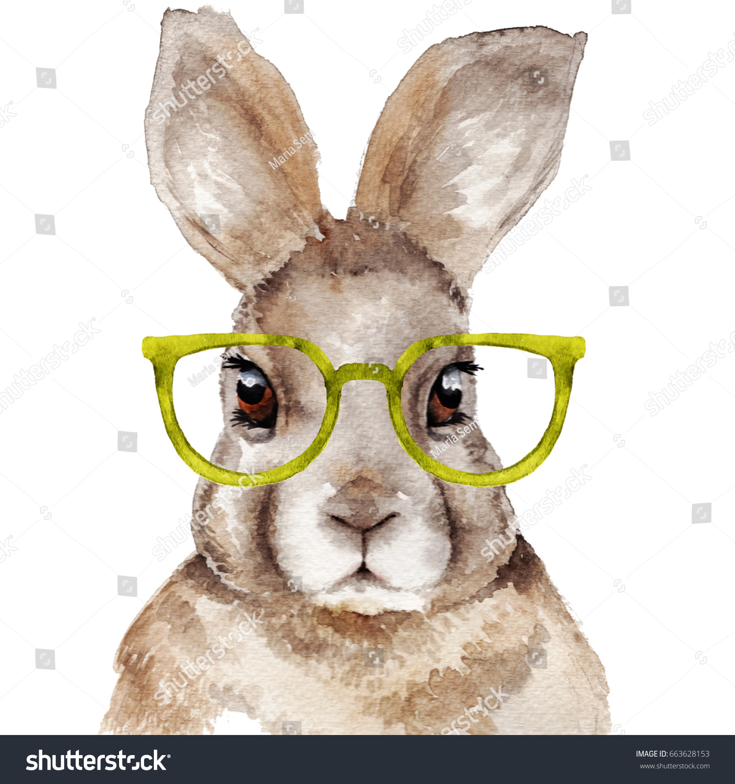 Watercolor Portrait Rabbit Hand Drawn Illustration Stock Illustration ...