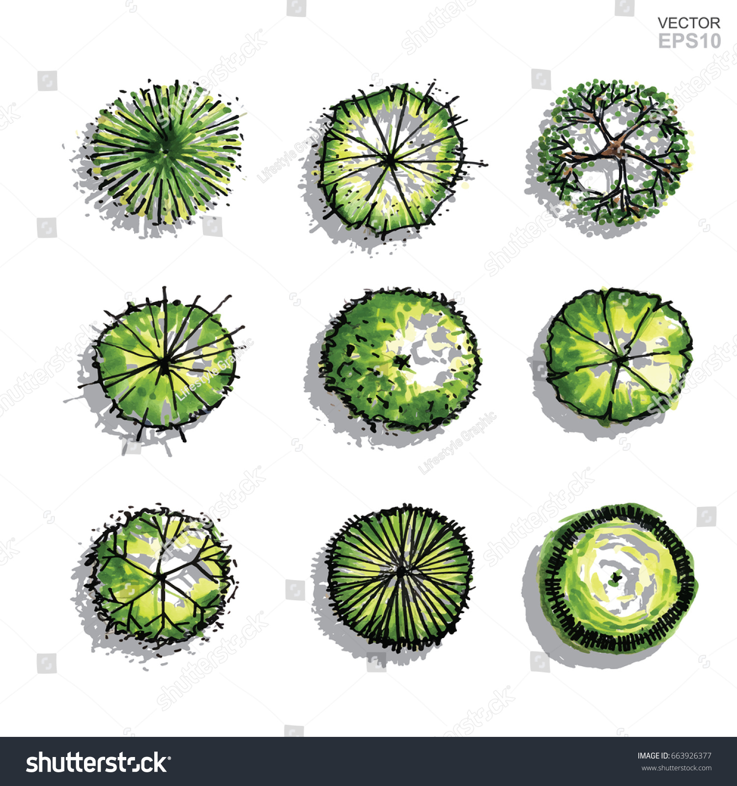 Vector Set Tree Plan Landscape Design Stock Vector (royalty Free 