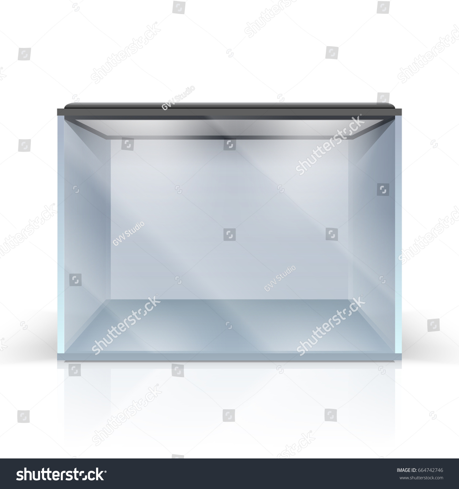 Blank Vector Aquarium On Isolated On Stock Vector (Royalty Free ...