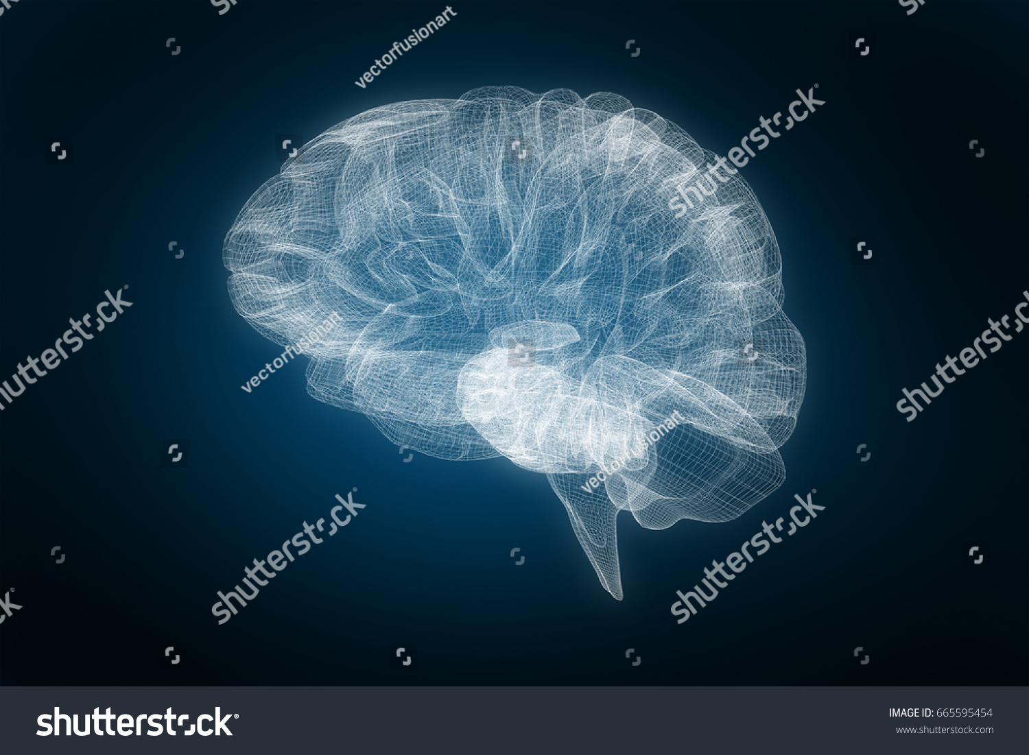 3d Image Human Brain Against Blue Stock Illustration 665595454 ...