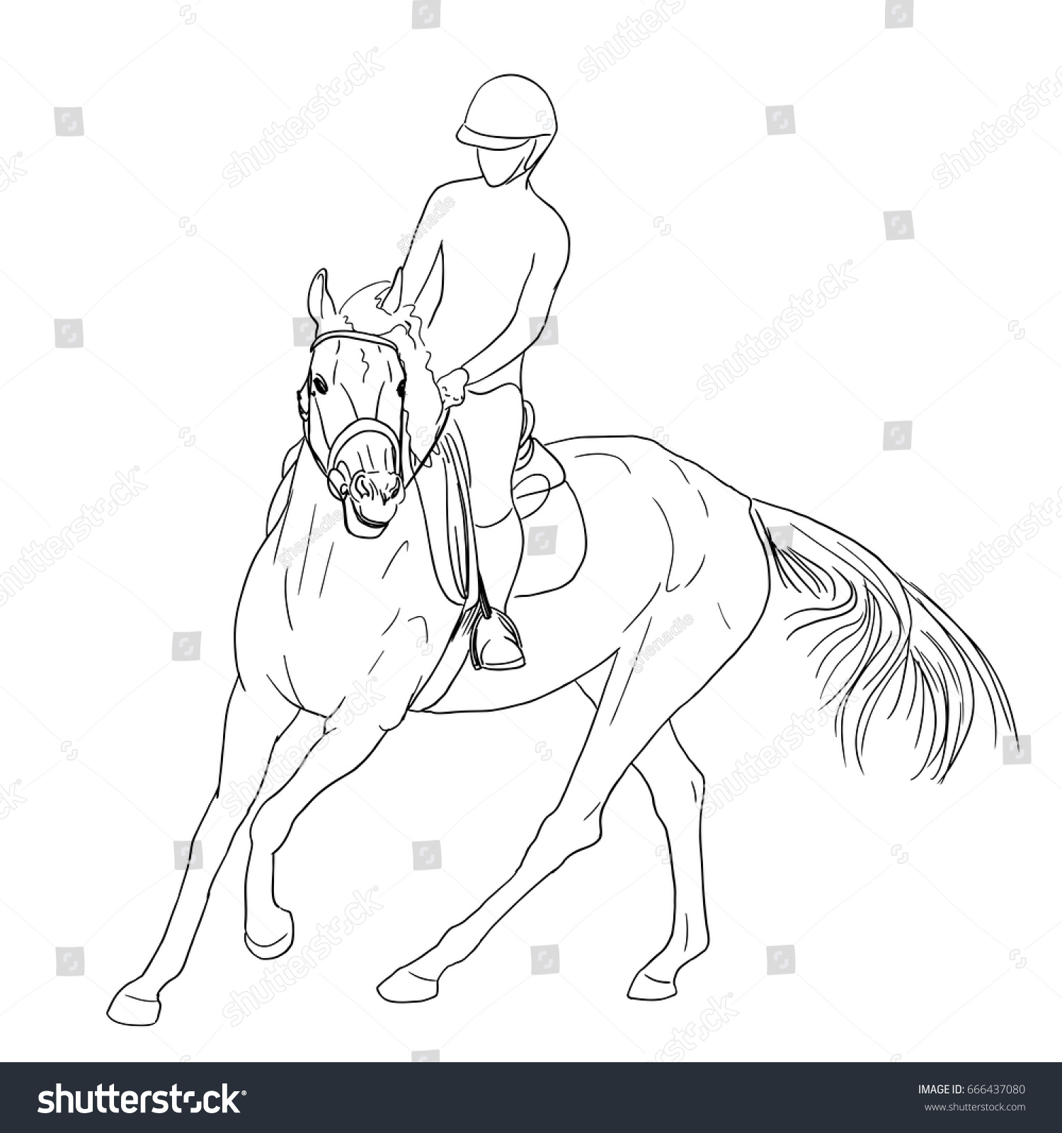 Horse Rider Line Art Illustration Equestrian Stock Vector (Royalty Free ...