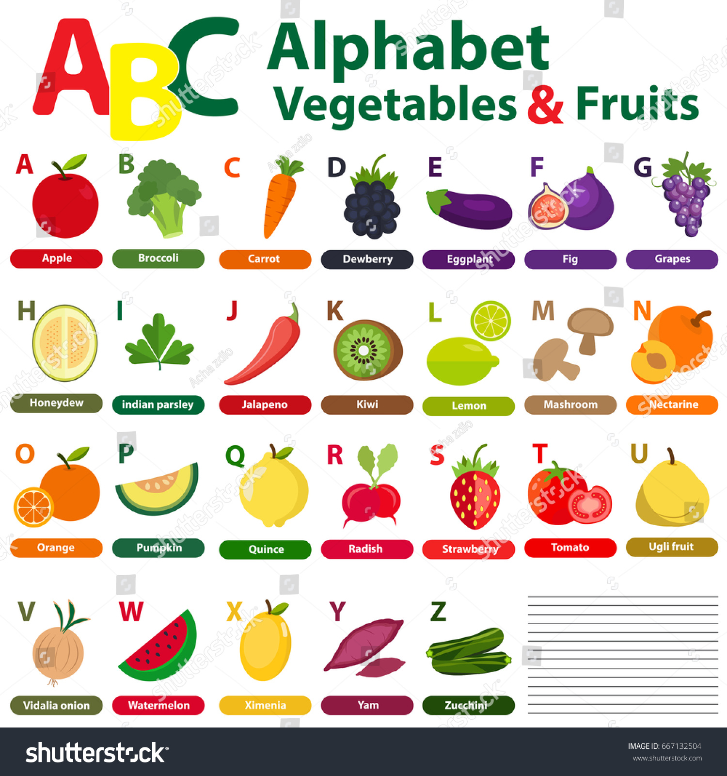 English Alphabet Kids Fruits Vegetables Back: Immagine Vettoriale Stock ...