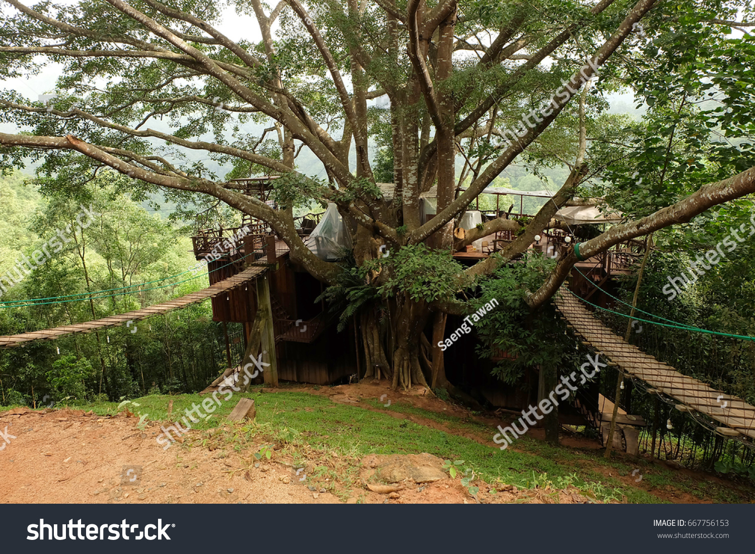 tree house thailand chiang mai