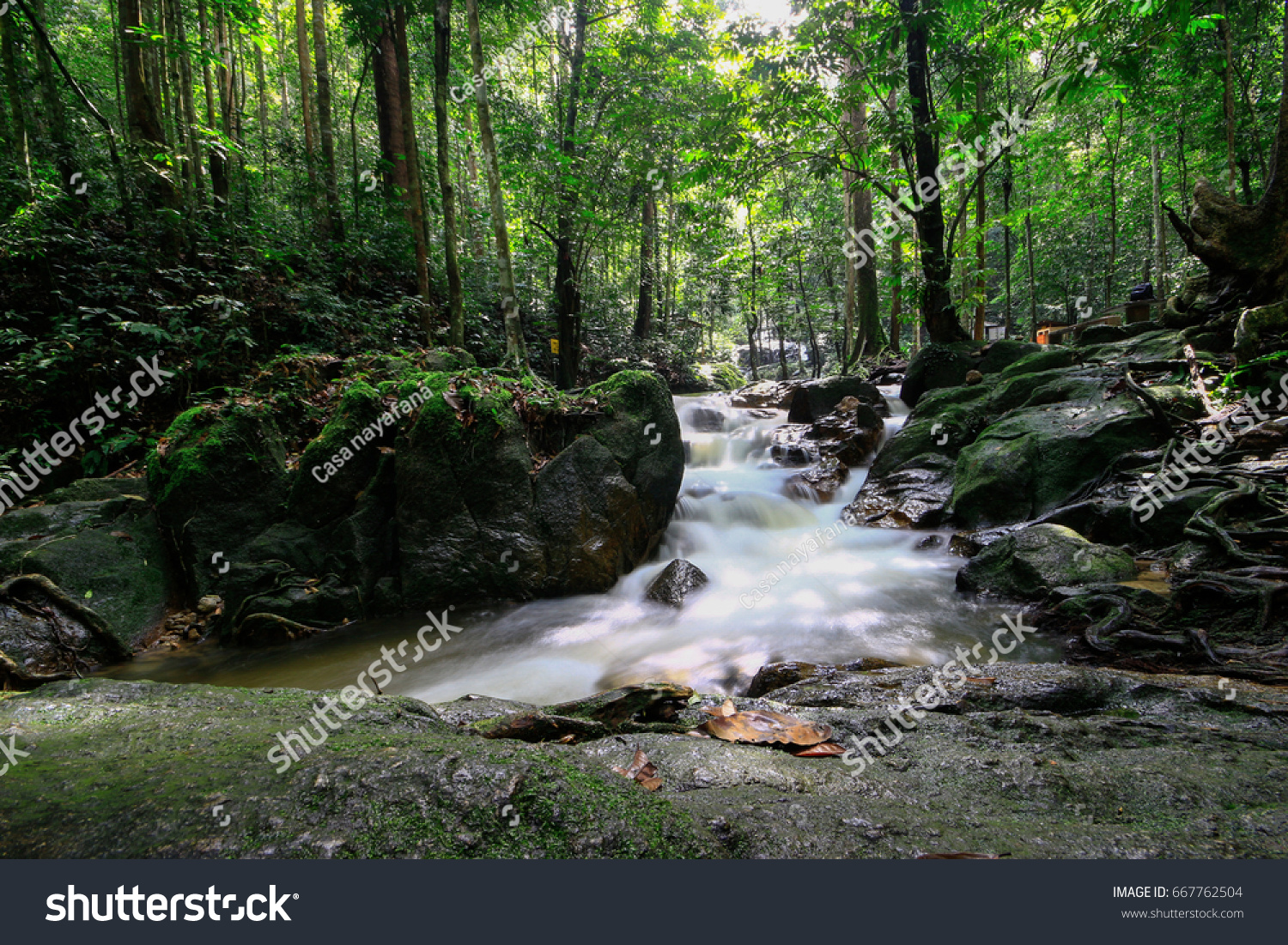 Sungai Tekala Waterfall Beautiful Nature Surround Stock Photo 667762504 