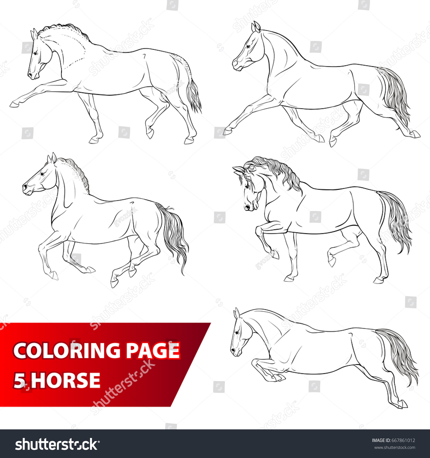 Coloring Page Set 5 Horses Stock Vector (Royalty Free) 667861012 ...