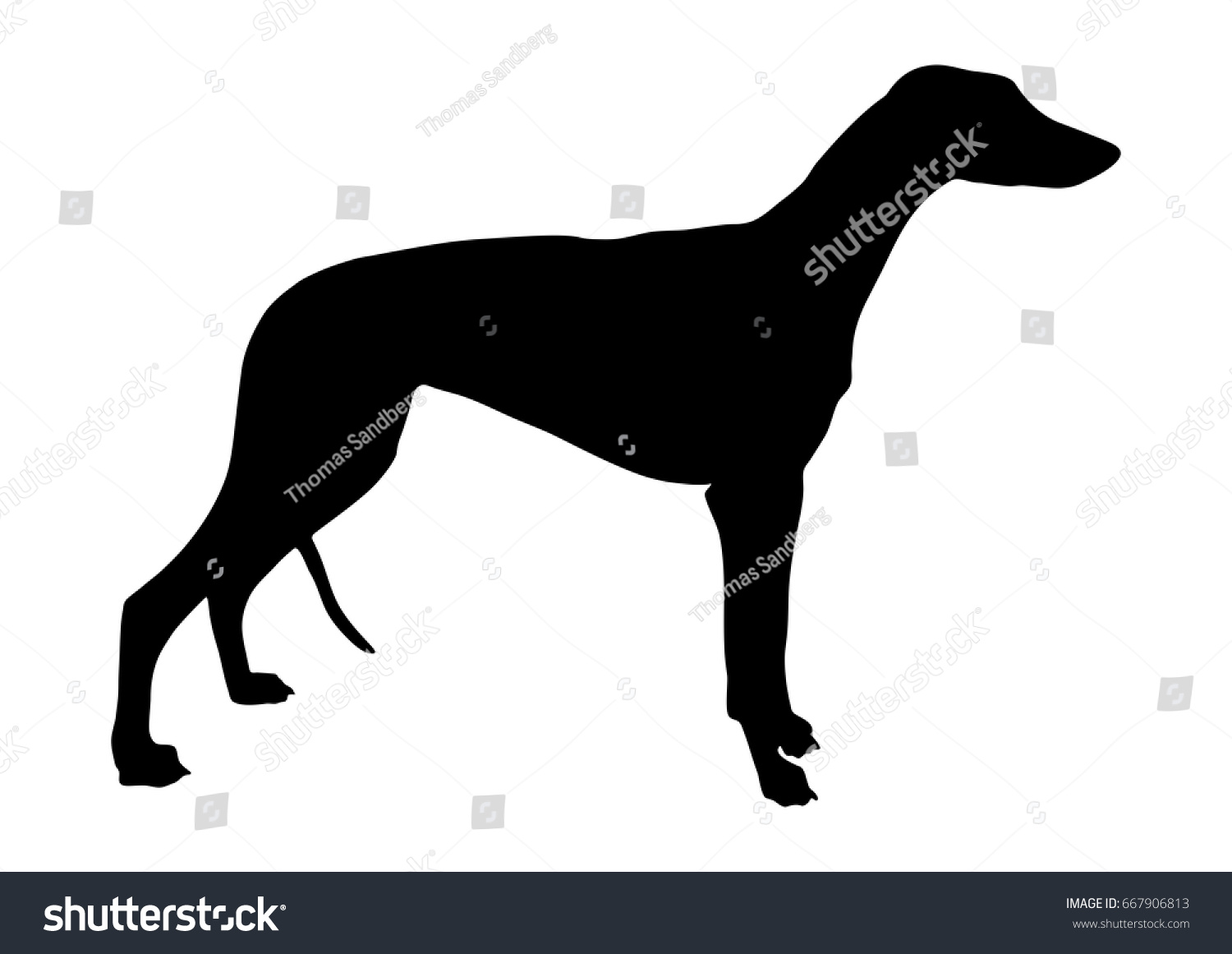 Greyhound Silhouette Vector Stock Vector (Royalty Free) 667906813 ...