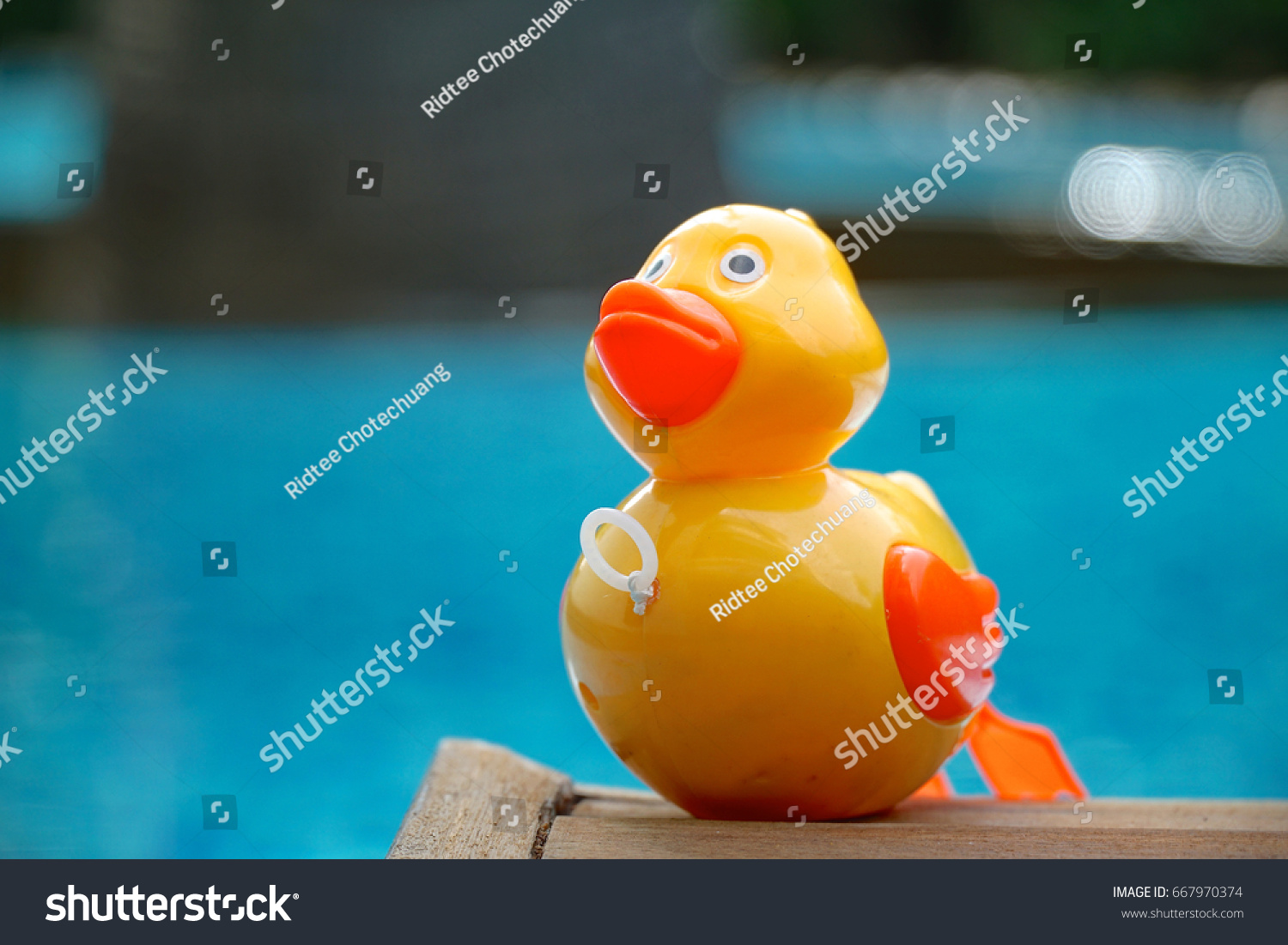 Yellow Toy Duck Pool Background Blurred Stock Photo 667970374