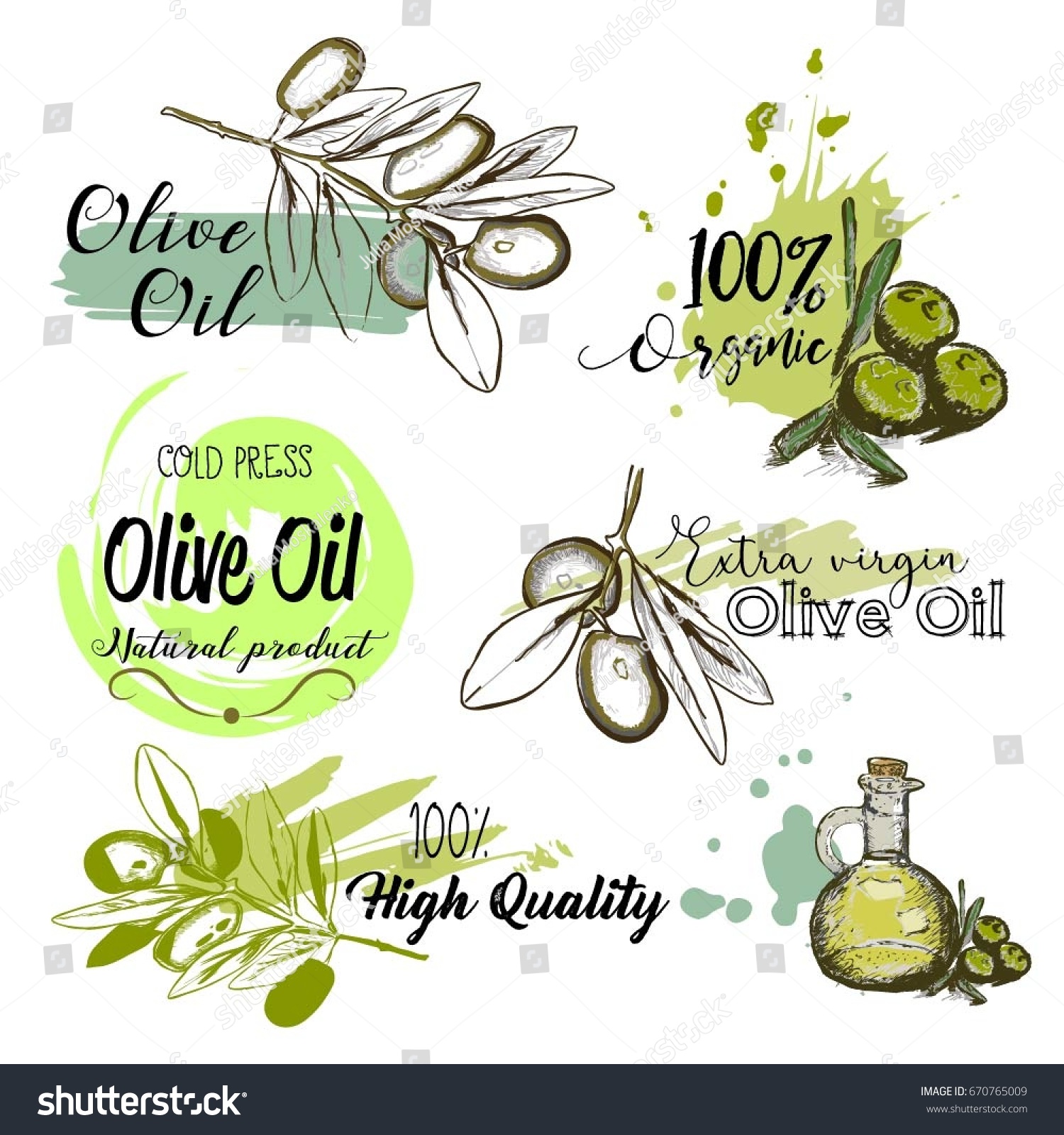 Set Hand Drawn Labels Signs Olive Stock Vector Royalty Free Shutterstock