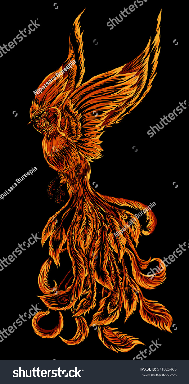 Phoenix Fire Bird Illustration Character Designbackground Stock Vector