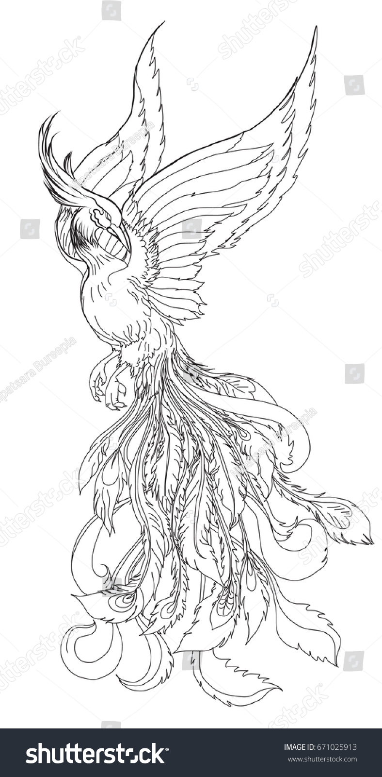 Phoenix Fire Bird Outline Doodle Stylehand Stock Vector (Royalty Free ...