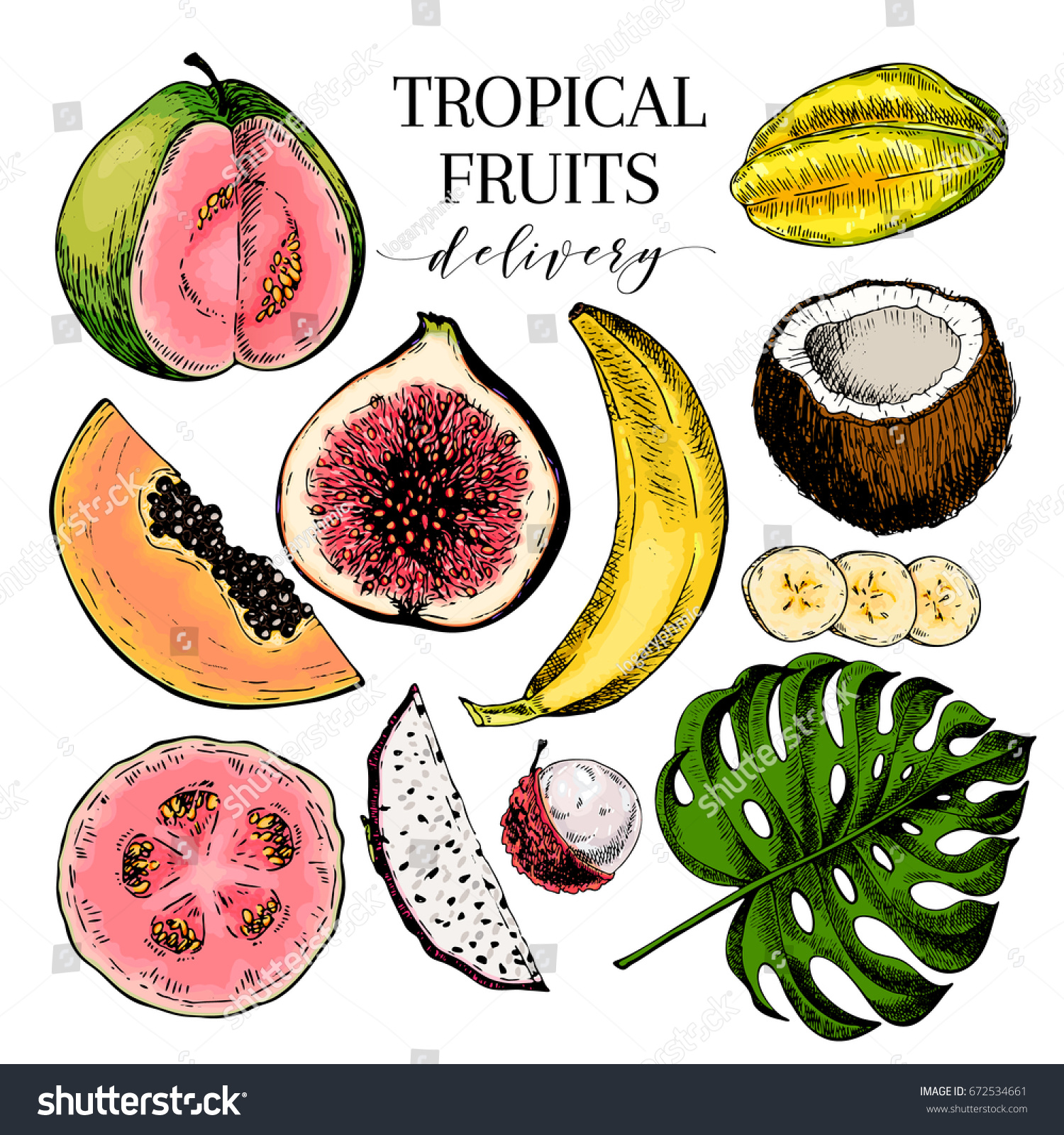 Экзотические фрукты для срисовки
