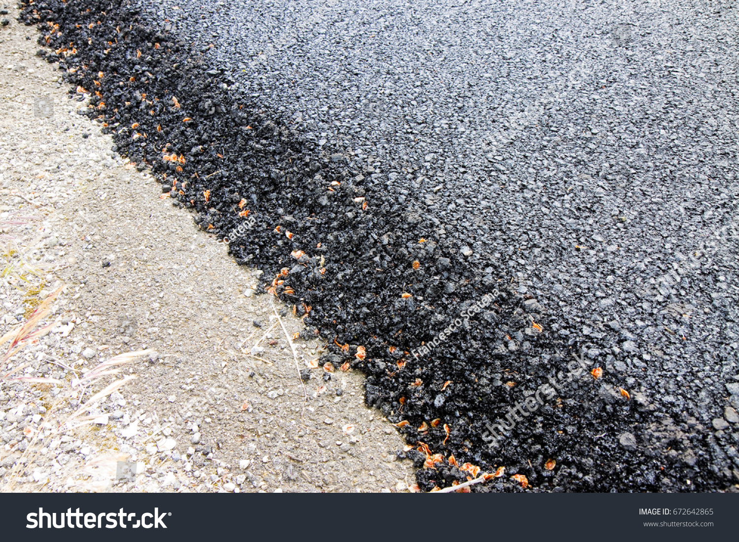 New Asphalt Road Background Concept Image Stock Photo 672642865 ...