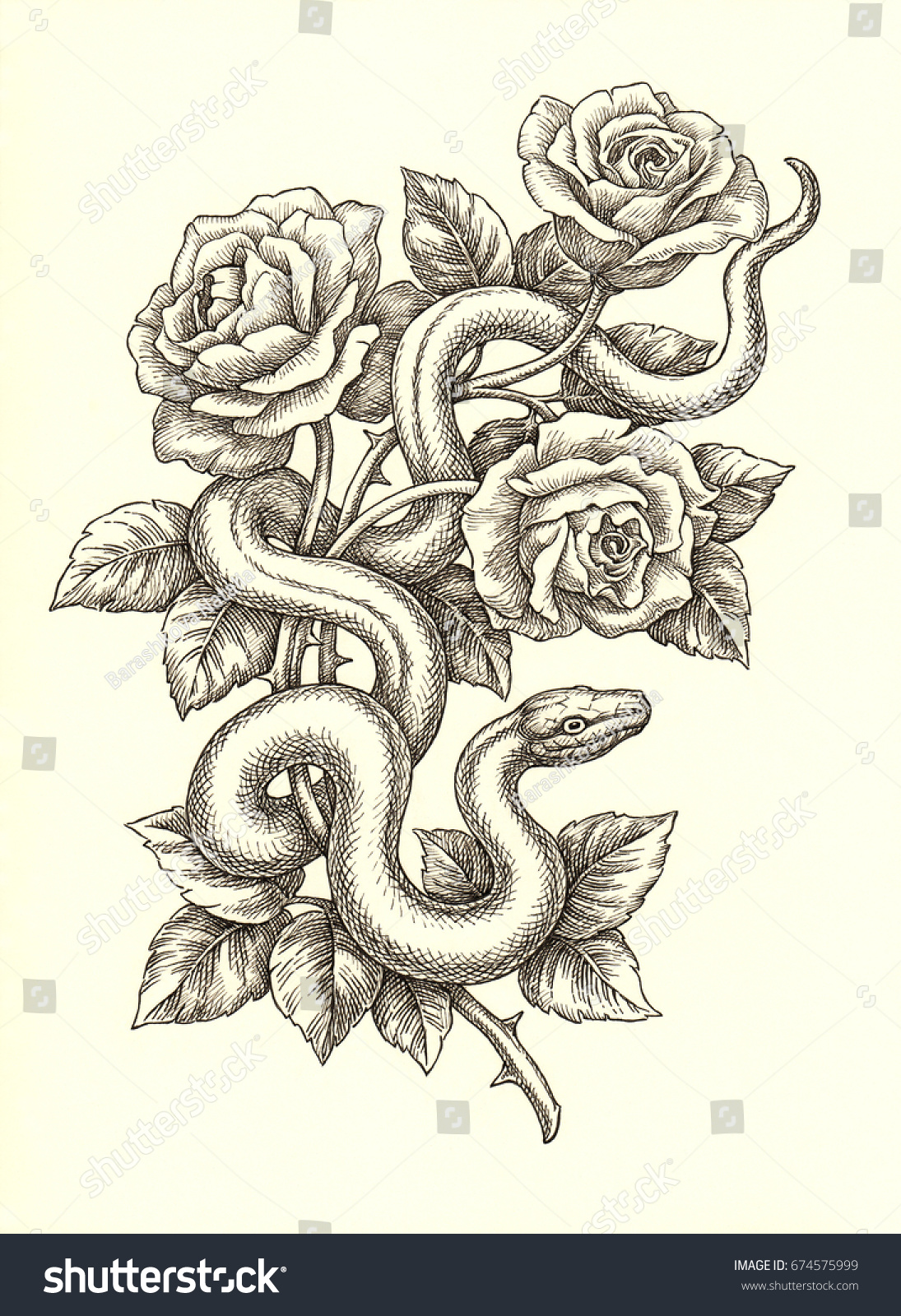 Эскиз змеи с розой