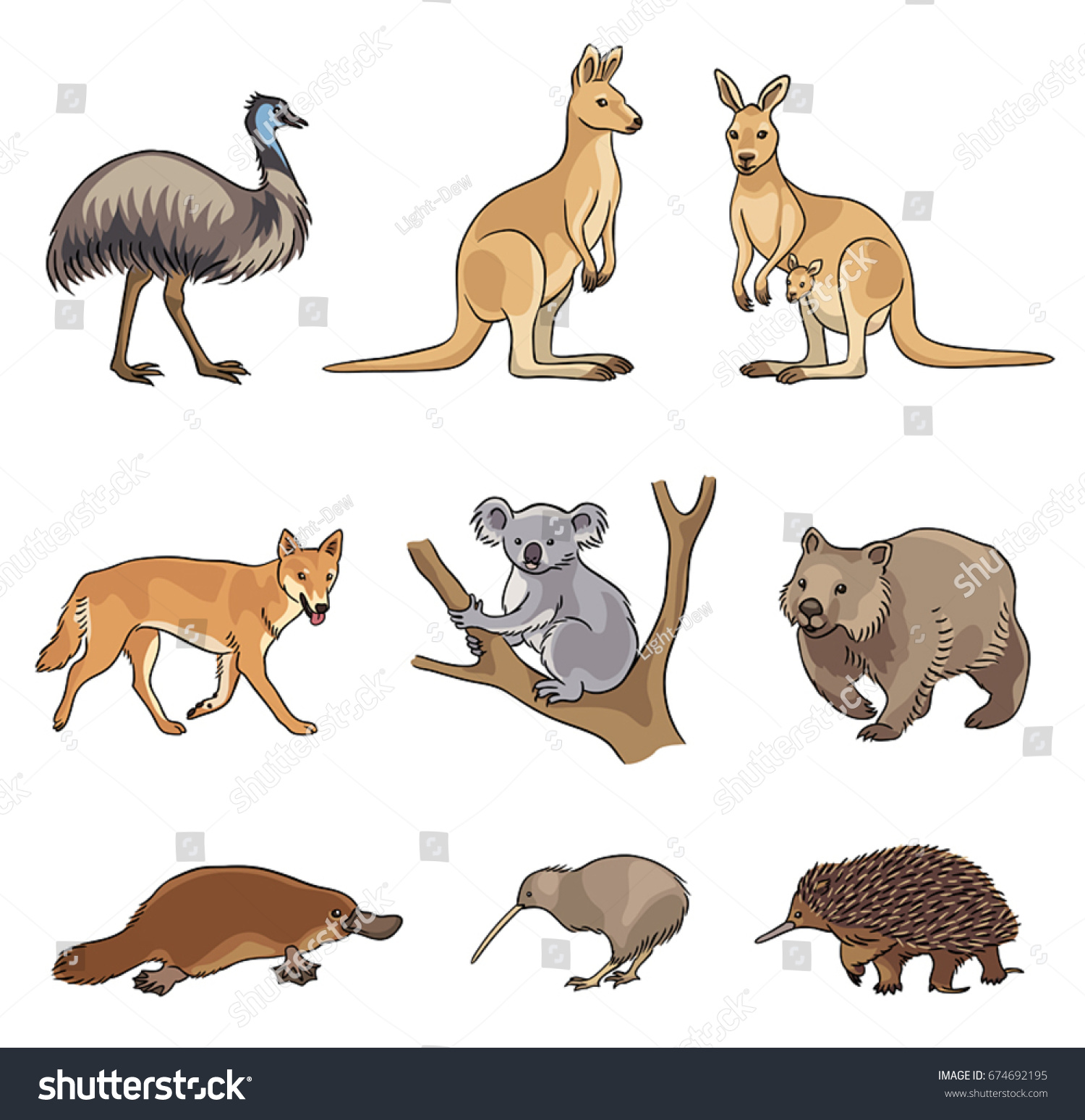 Set Stylized Vector Australian Animals Eps8 Stock Vector (Royalty Free ...