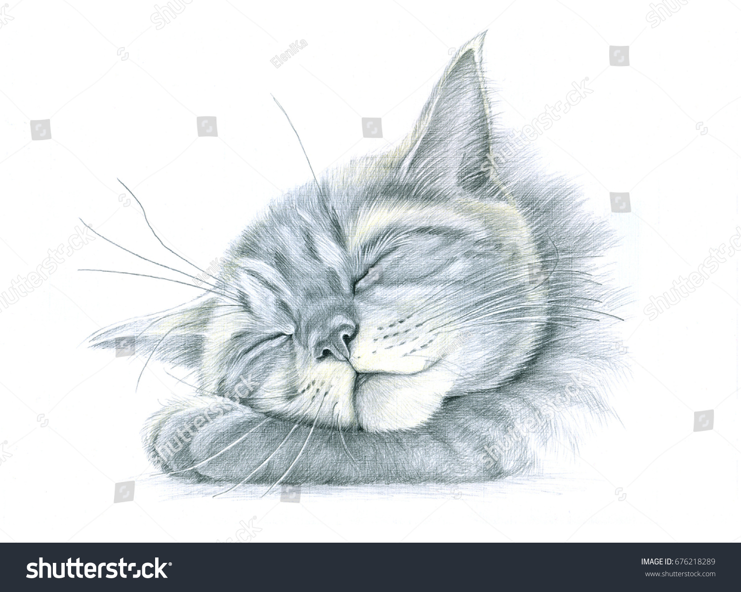 Спящий кот рисунок карандашом