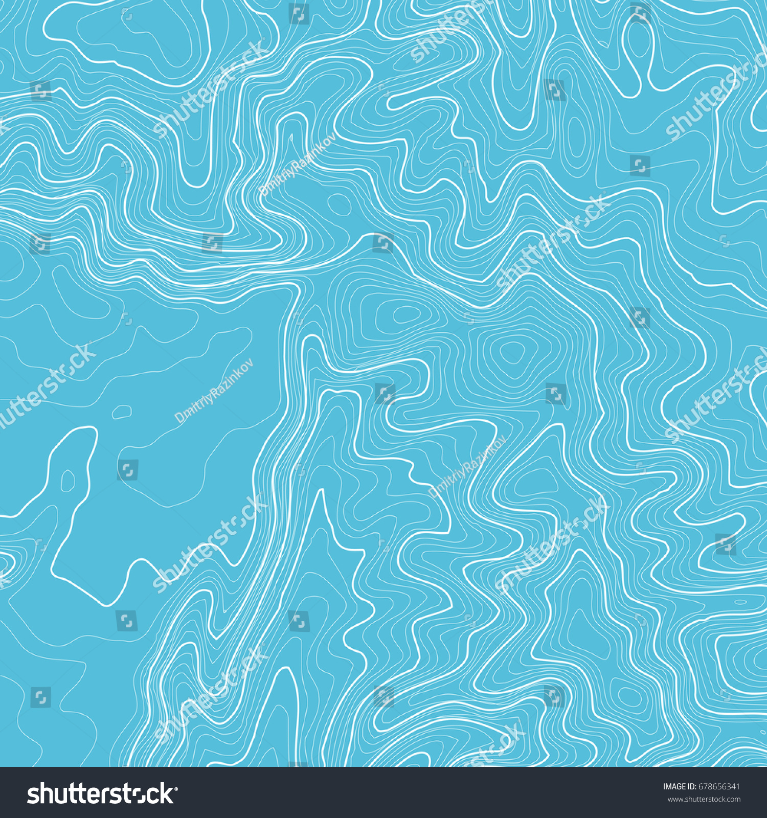 Topographic Map Background Space Copy Line Stock Vector Royalty Free