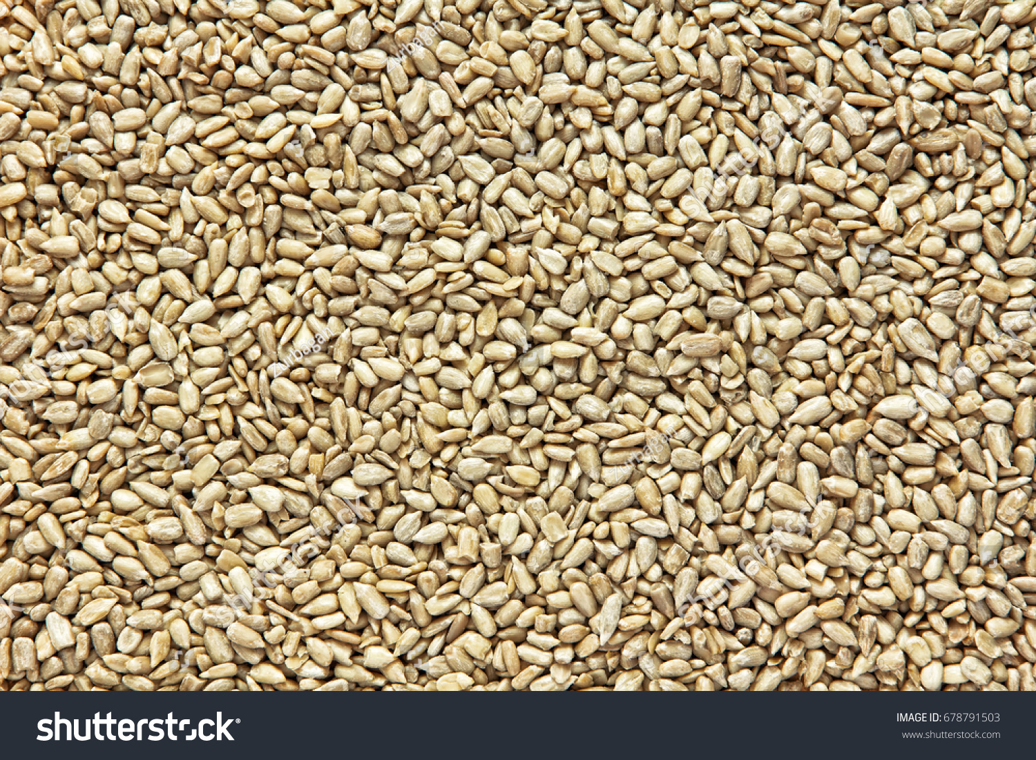 253,640 Sunflower Seeds On Background Images, Stock Photos & Vectors 