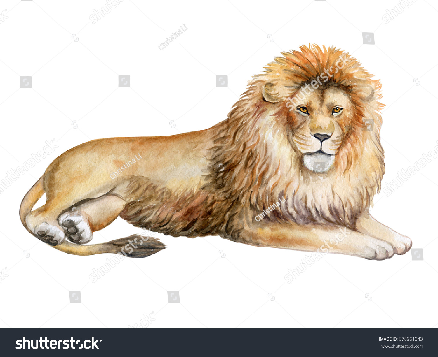 19,222 Lion Watercolor Images, Stock Photos & Vectors | Shutterstock