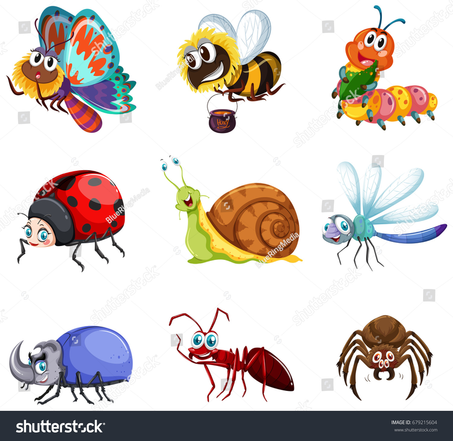 different-types-insects-illustration