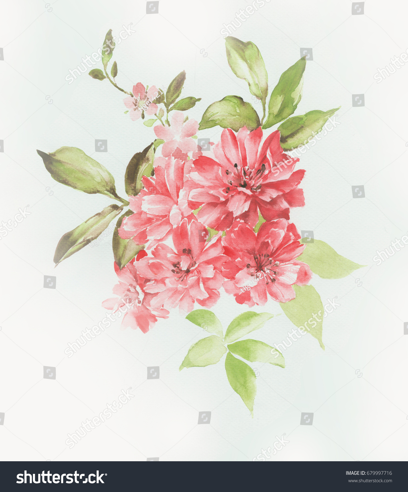 Leaves Flowers Watercolor Draw Art Designvisual Stock Illustration ...