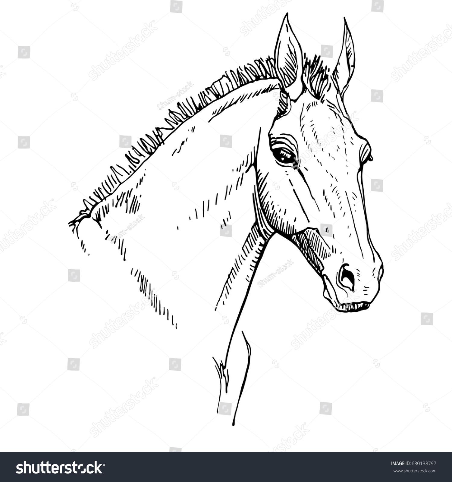 simple horse head outline