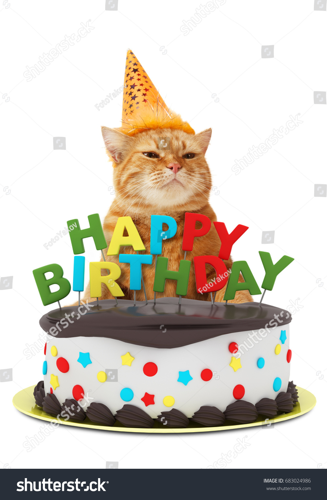 happy birthday hat for cats