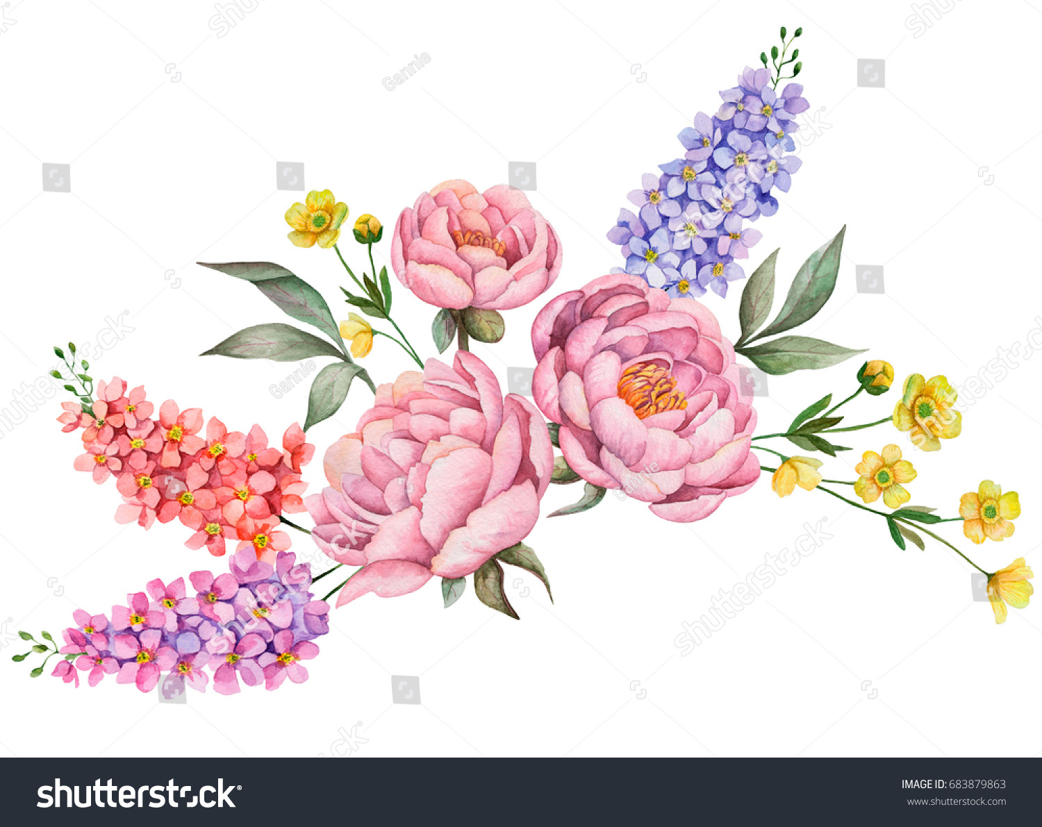 「花と水彩画。白い背景に手描きの花柄イラスト。牡丹、蝶カップ、デルフィニウム、葉っぱのブーケ。」のイラスト素材 683879863 Shutterstock 「花と水彩画。白い背景に手描きの花柄イラスト。牡丹、蝶カップ、デルフィニウム、葉っぱのブーケ。」のイラスト素材 683879863 Shutterstock
