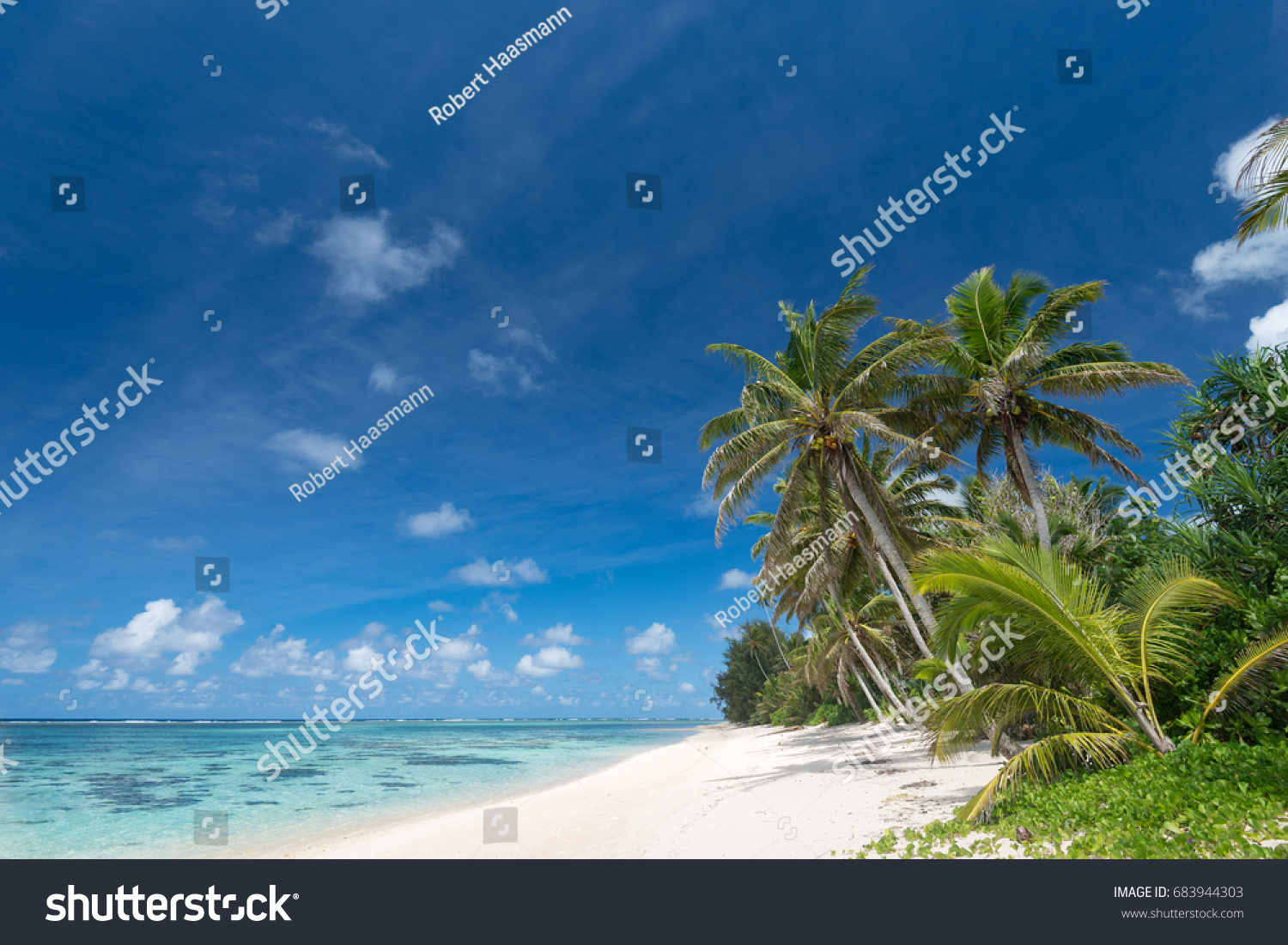 Palm Trees On Beach Tropical Cook Stock Photo 683944303 | Shutterstock