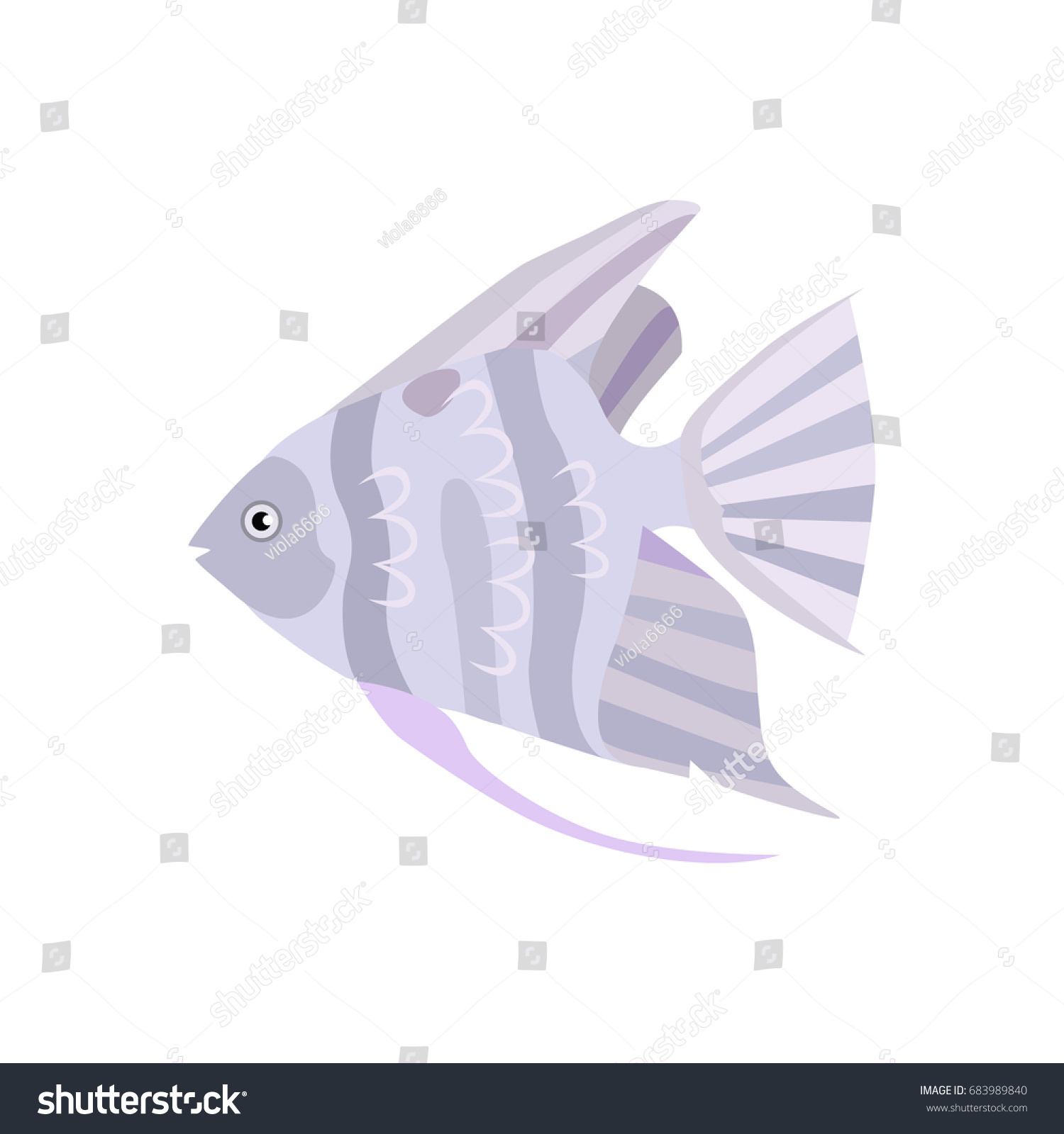 魚のエラの構造 呼吸 のイラスト素材 Shutterstock