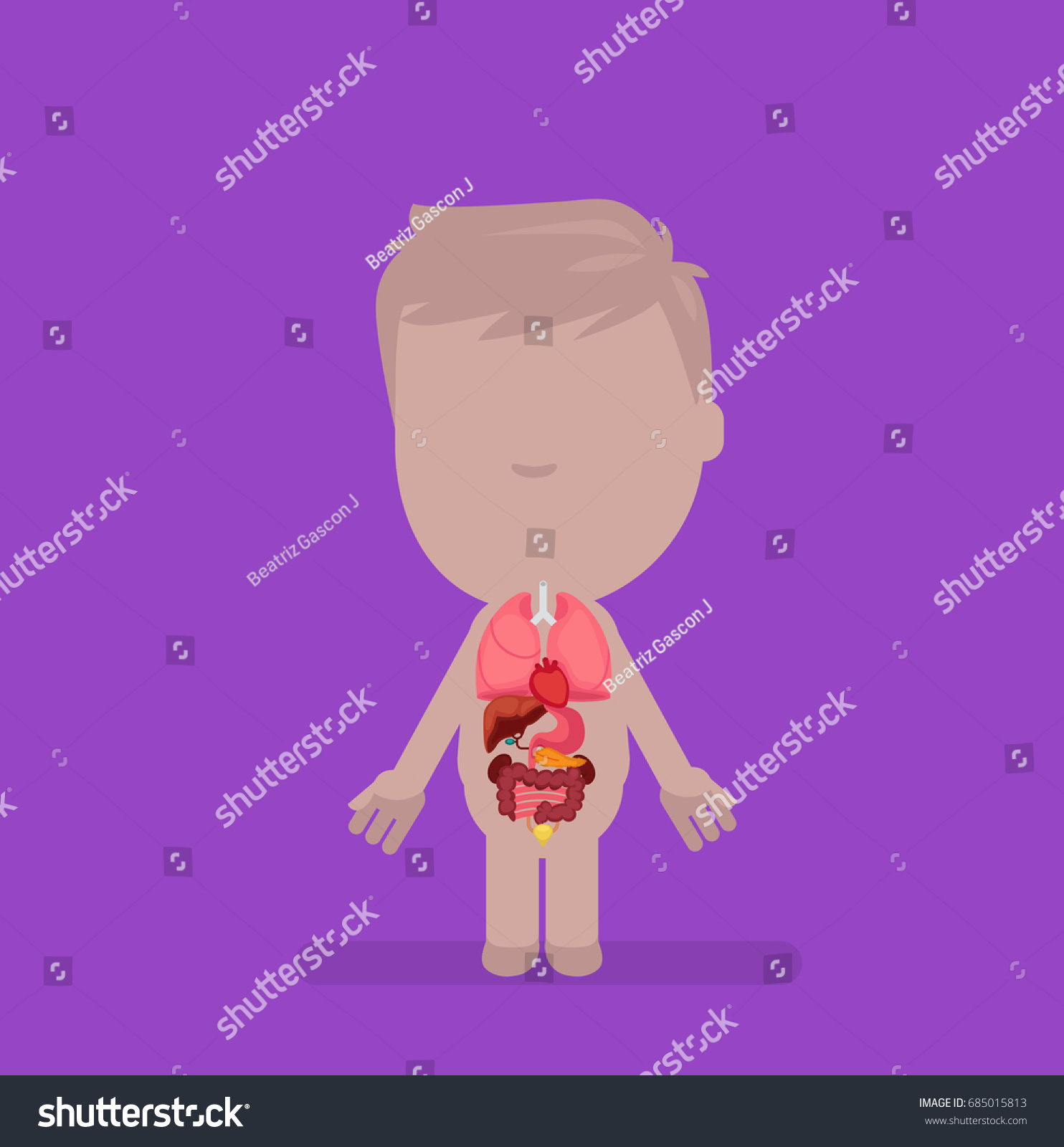 Vektor Stok Human Body Anatomy Vector Illustration Tanpa Royalti 685015813 Shutterstock 