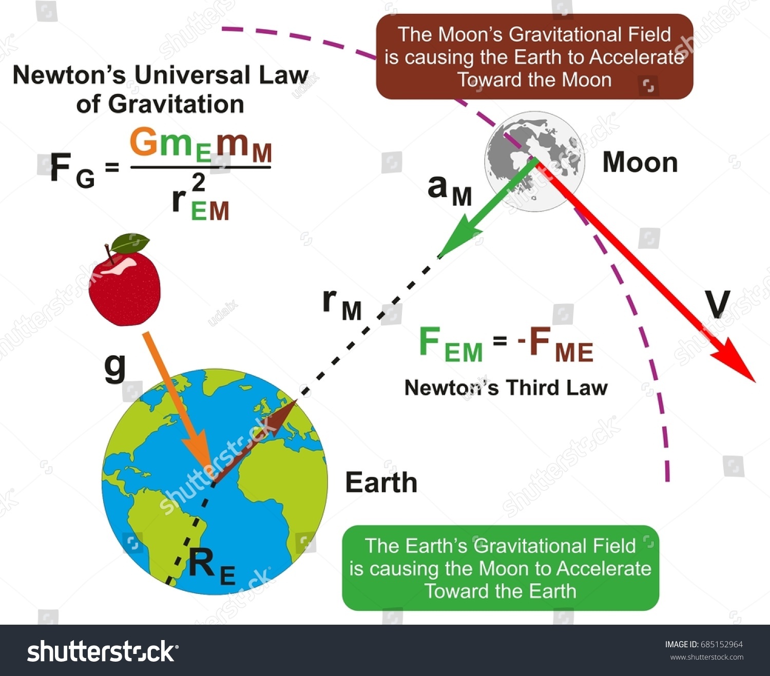Newtonun Evrensel Yerçekimi Yasası Infografik Diyagramı Stok Vektör Telifsiz 685152964 6511