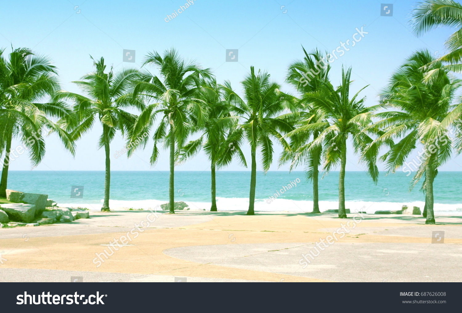 Palm Coconut Tree Beach Backgrounds Stock Photo 687626008 | Shutterstock