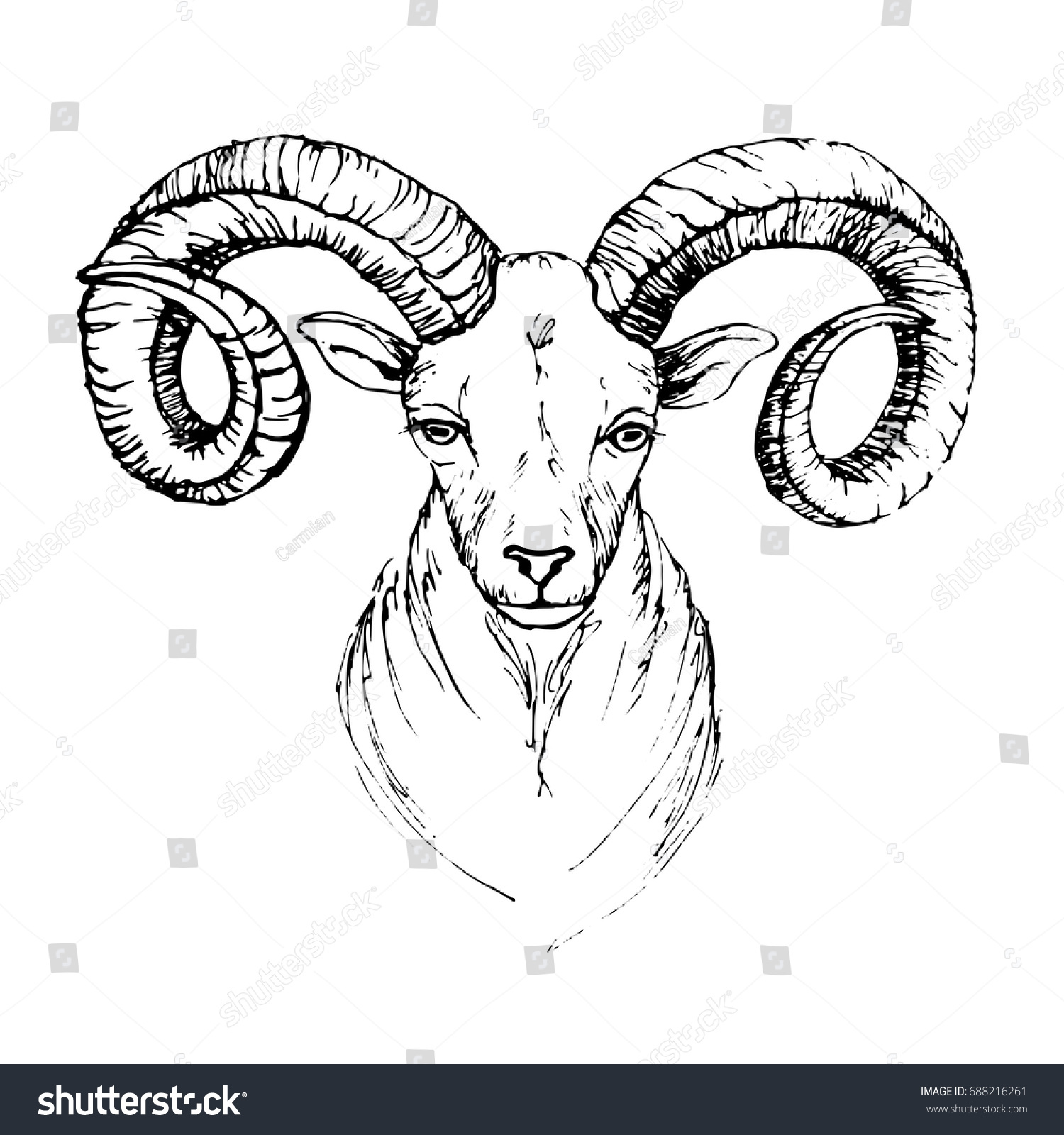 Sketch By Pen Head Mountain Goat Stock Vector (Royalty Free) 688216261 ...