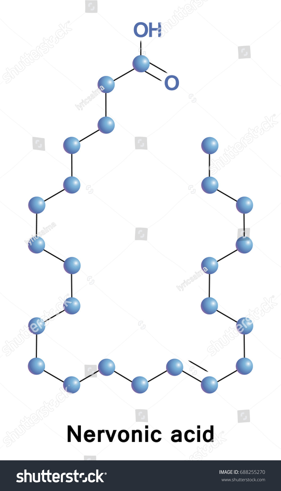 Nervonic Acid Fatty Acid Known Selacholeic Stock Vector (Royalty Free ...