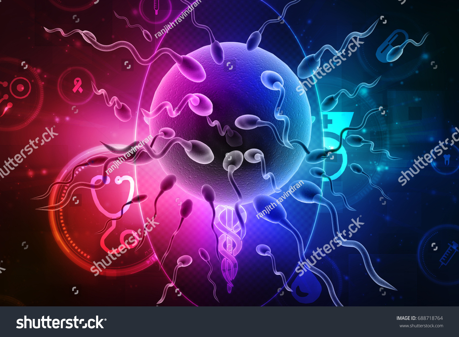 3d Illustration Human Sperm Egg Cell Stock Illustration 688718764