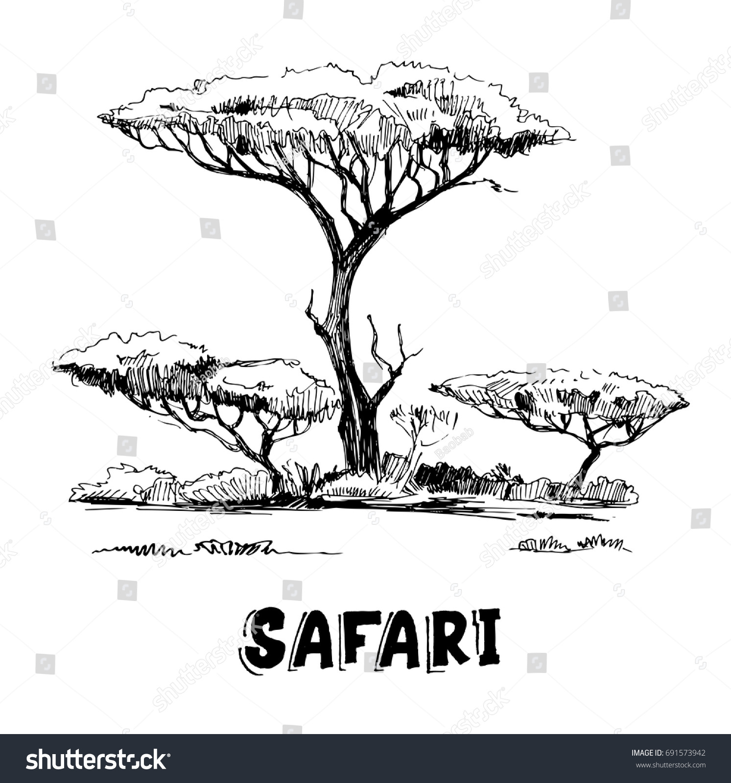 Sketch African Savanna Plants Trees Hand Stock Vector (Royalty Free ...