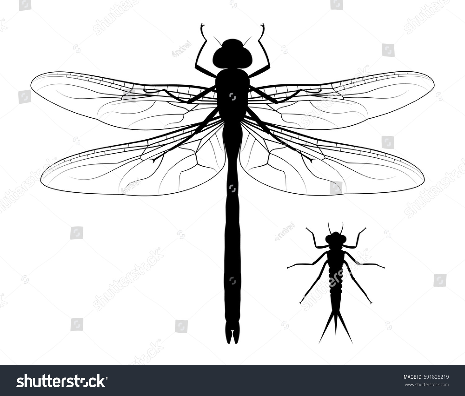 Dragonfly Nymph Stock Vector (Royalty Free) 691825219 | Shutterstock