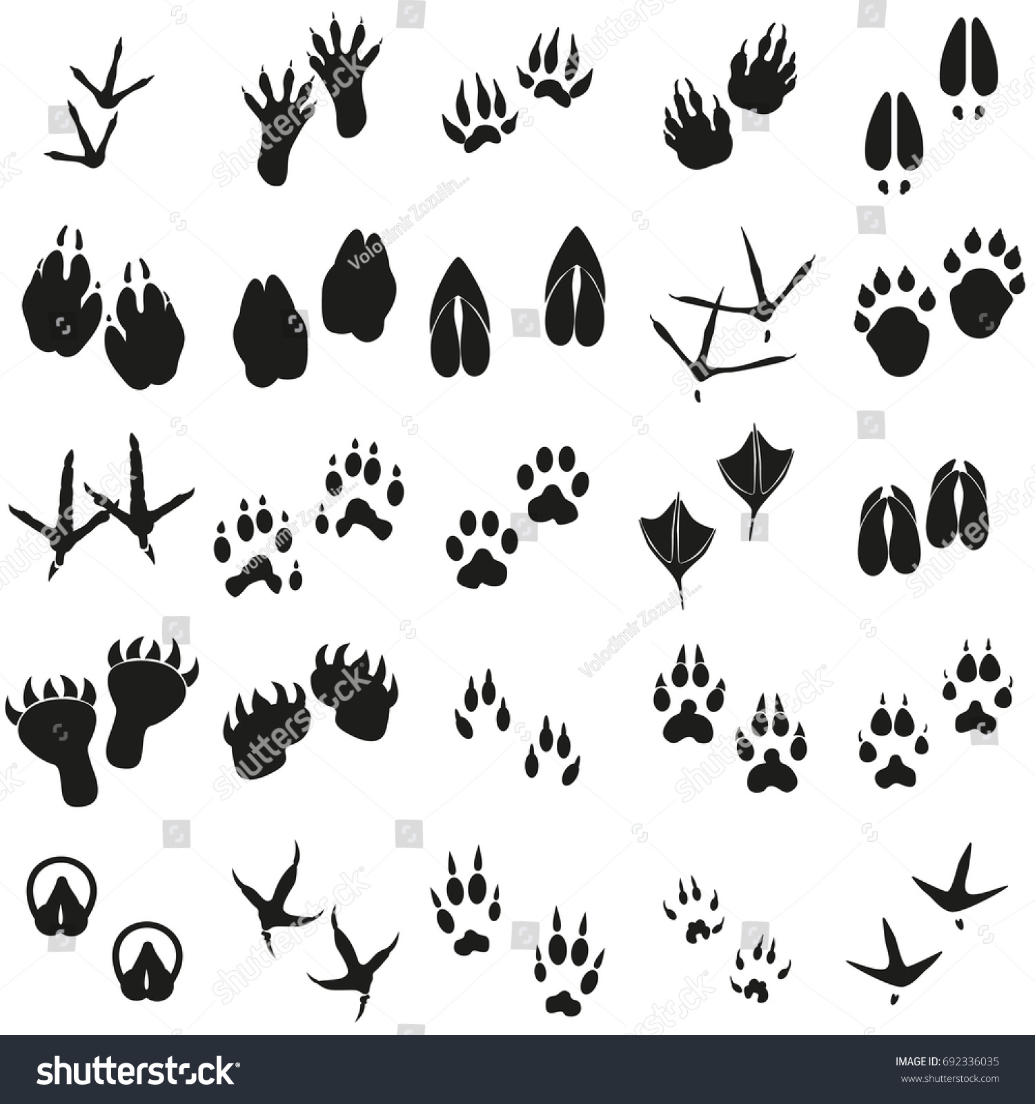 Silhouettes Animal Birds Mammals Footprints Set Stock Vector (Royalty ...