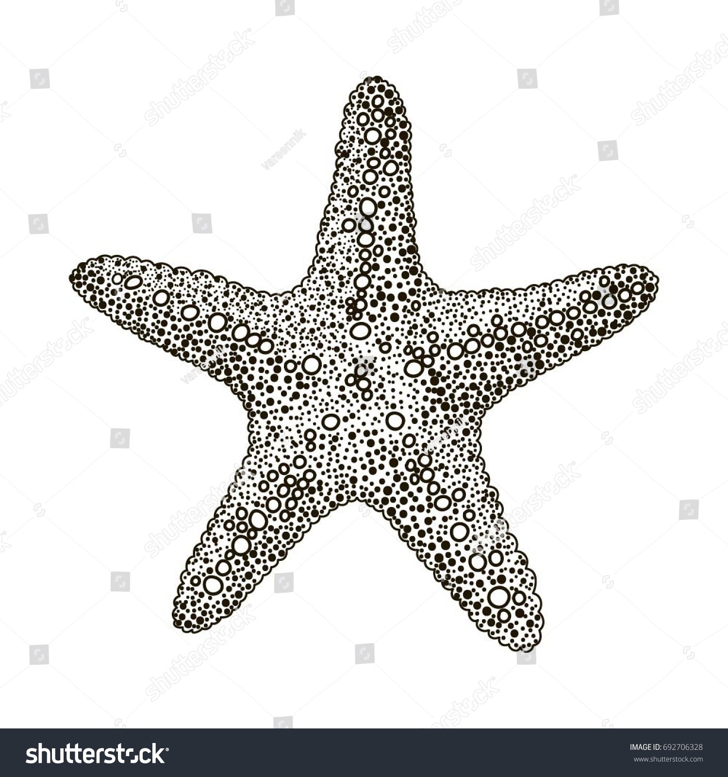 Vector Illustration Sea Star Stock Vector (Royalty Free) 692706328 ...